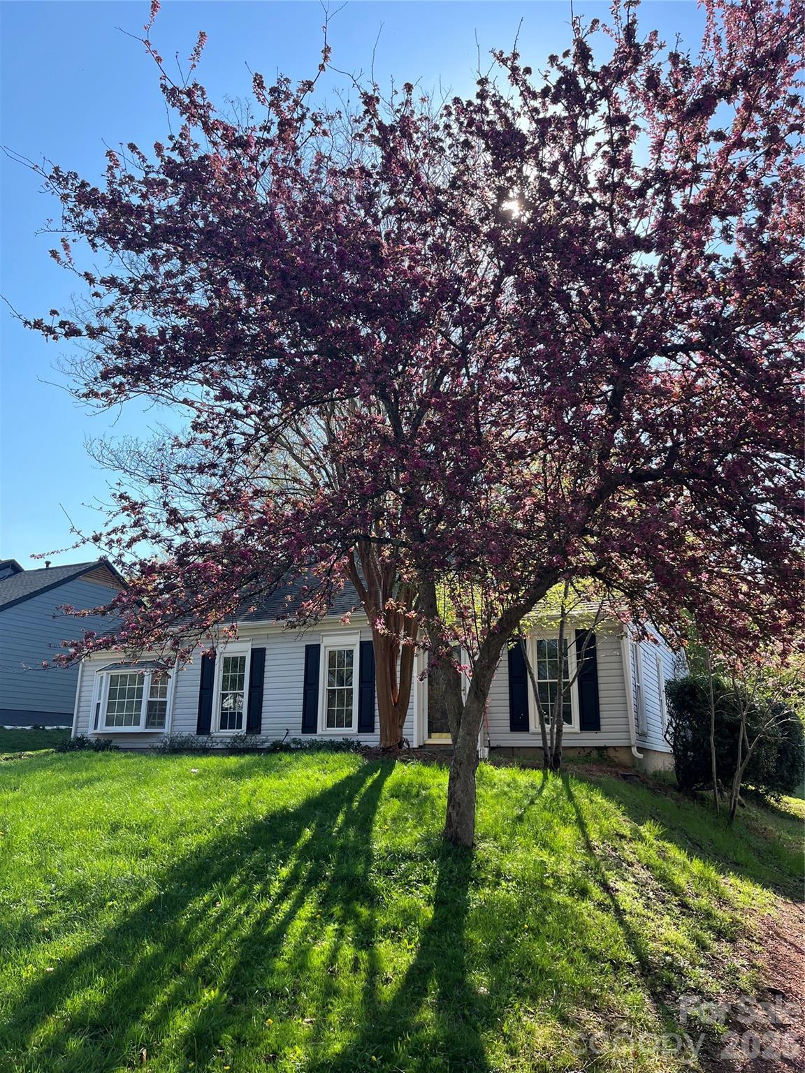 14011 Eden Court — Pineville