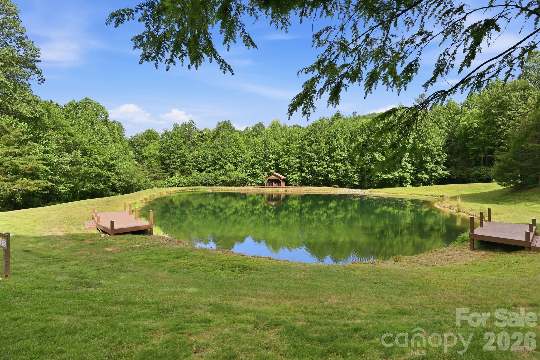 43 Smokemont Drive — Arden