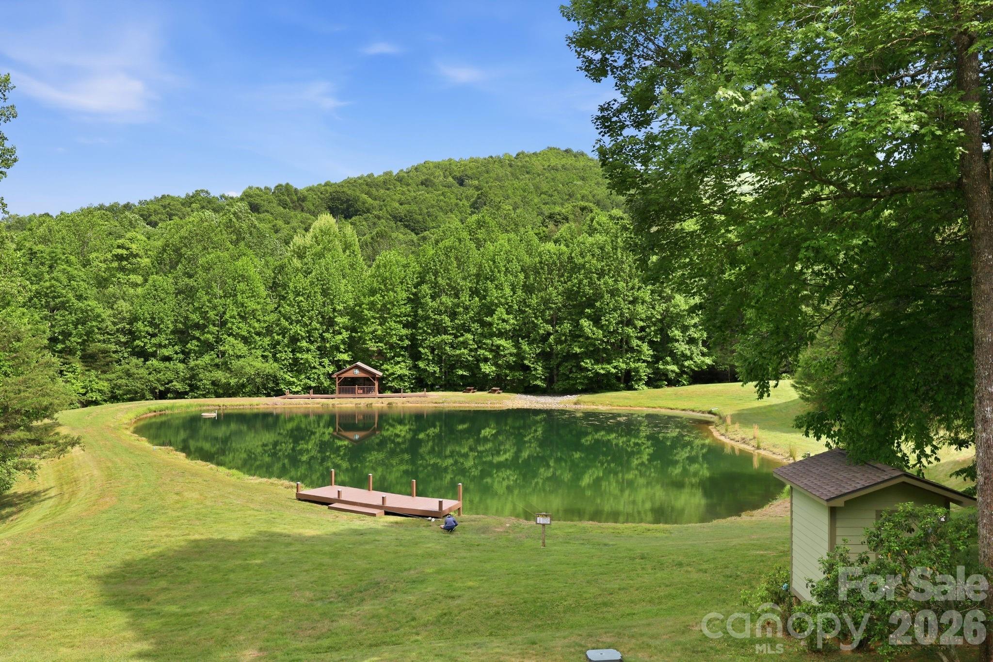 43 Smokemont Drive — Arden