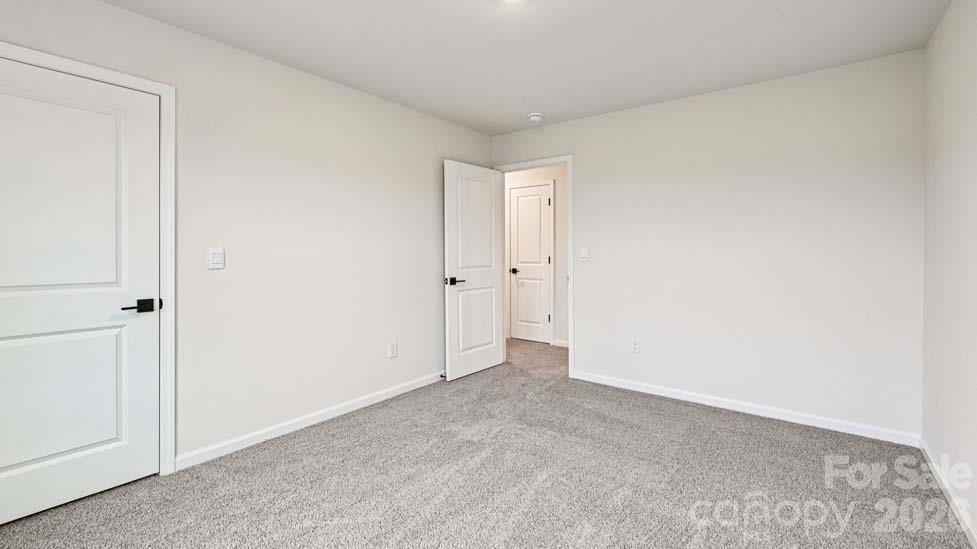 5035 Blue Serenity Court — Denver