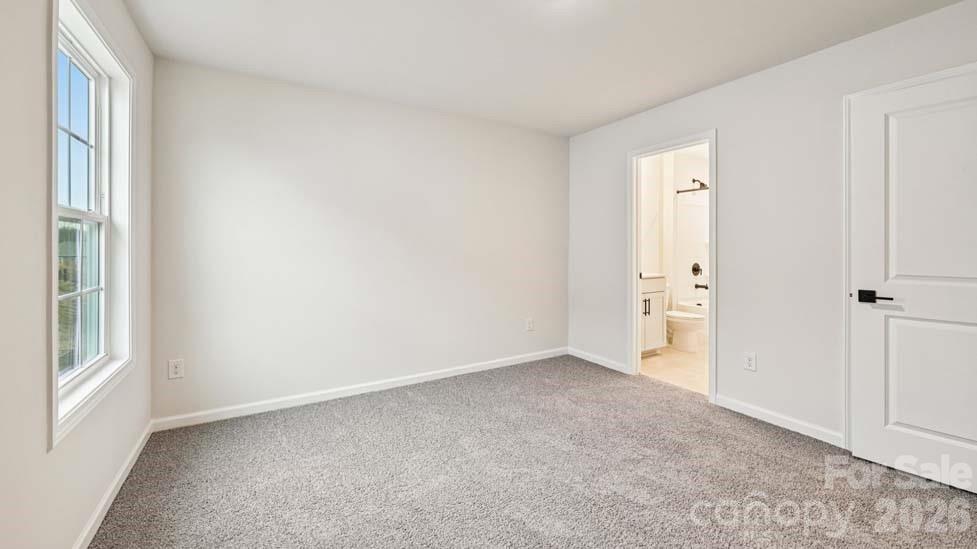 5035 Blue Serenity Court — Denver