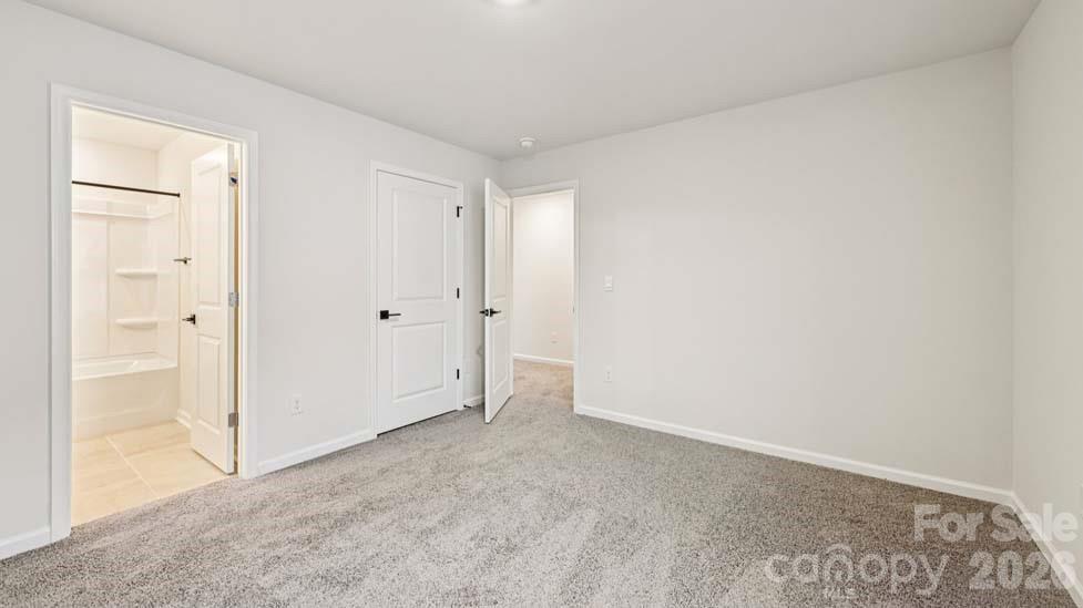 5035 Blue Serenity Court — Denver