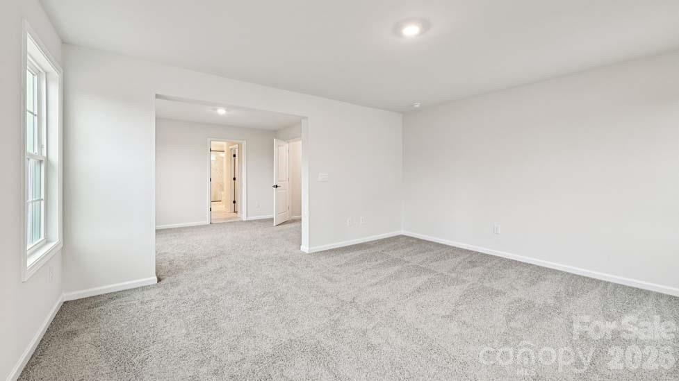 5035 Blue Serenity Court — Denver