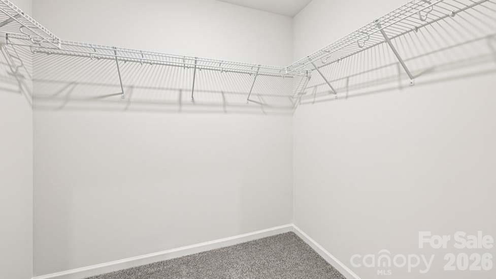 5035 Blue Serenity Court — Denver