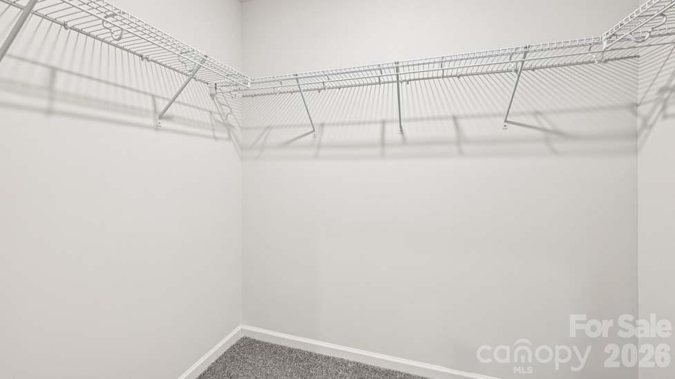 5035 Blue Serenity Court — Denver