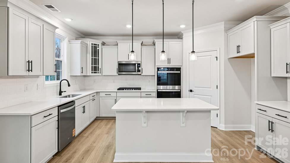5035 Blue Serenity Court — Denver