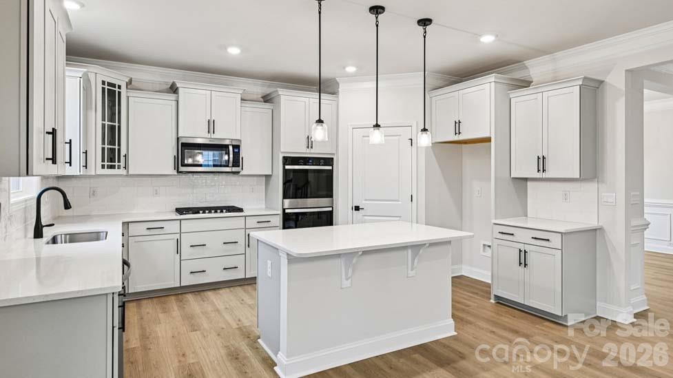 5035 Blue Serenity Court — Denver