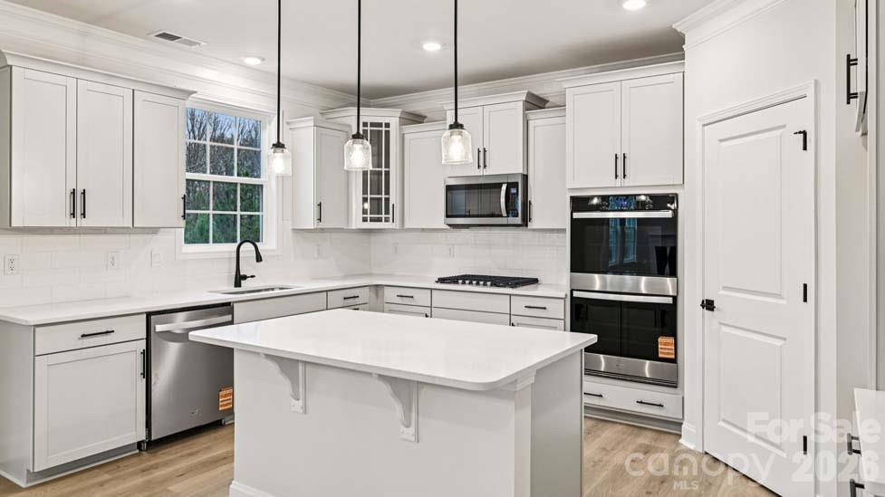5035 Blue Serenity Court — Denver