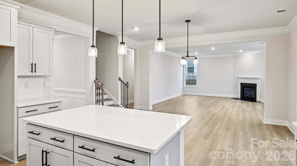 5035 Blue Serenity Court — Denver