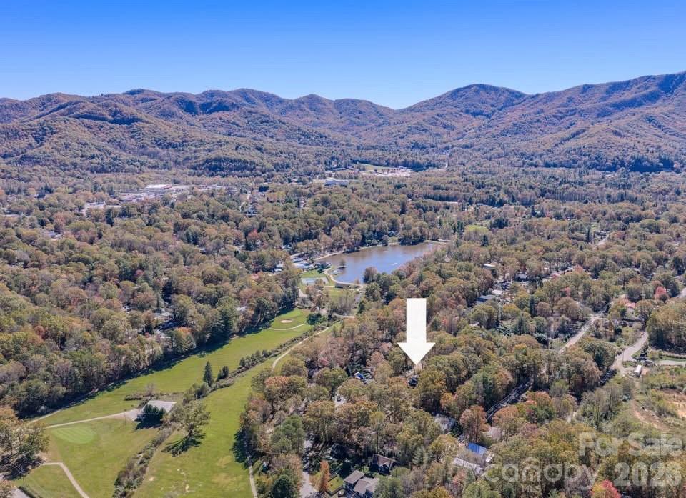 597 Tomahawk Avenue — Black Mountain