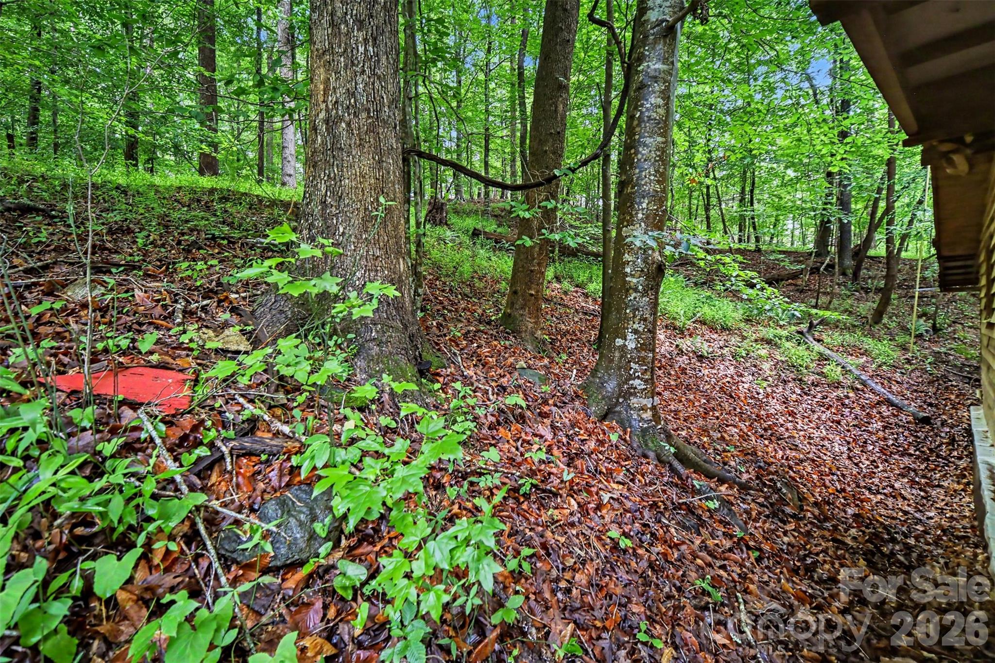 260 Cherrywood Lane — Sharon