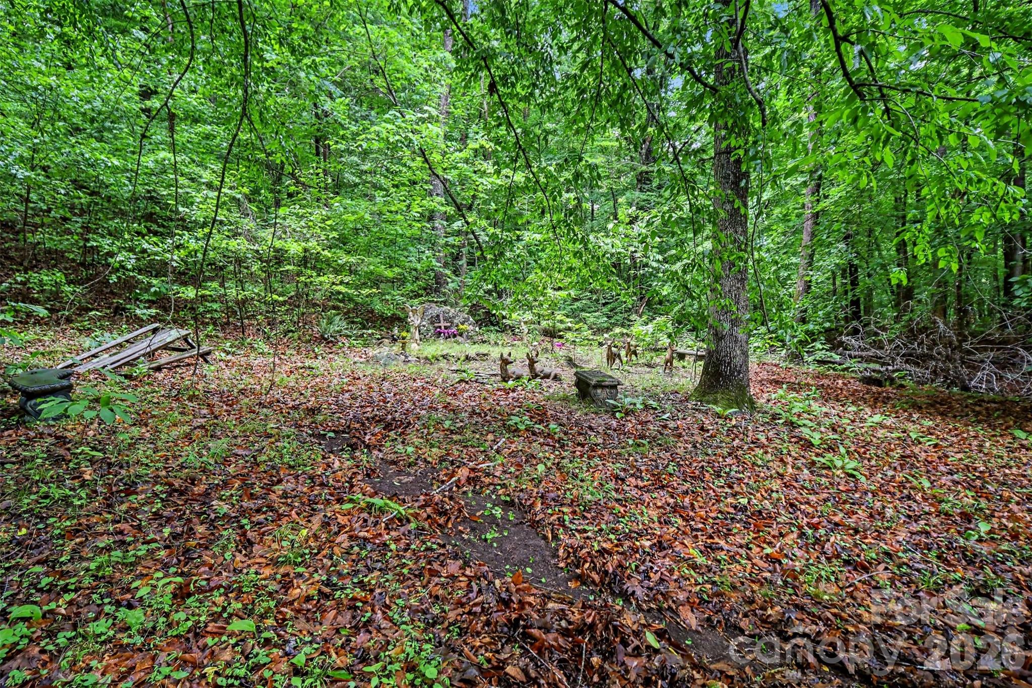 260 Cherrywood Lane — Sharon
