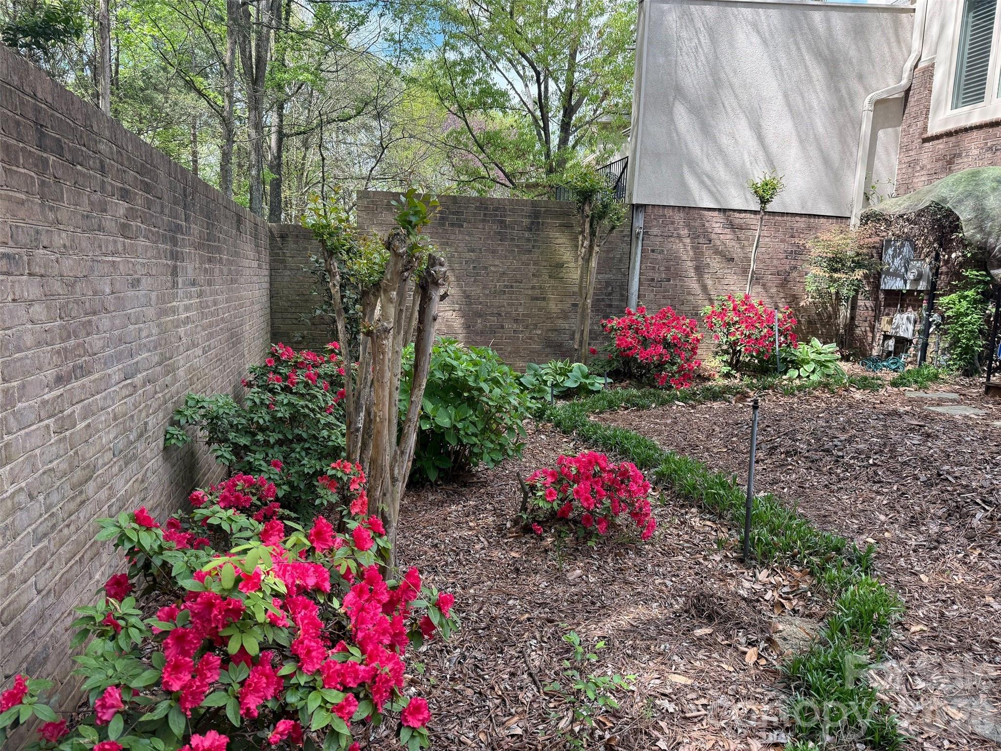 8952 Challis Hill Lane — Charlotte