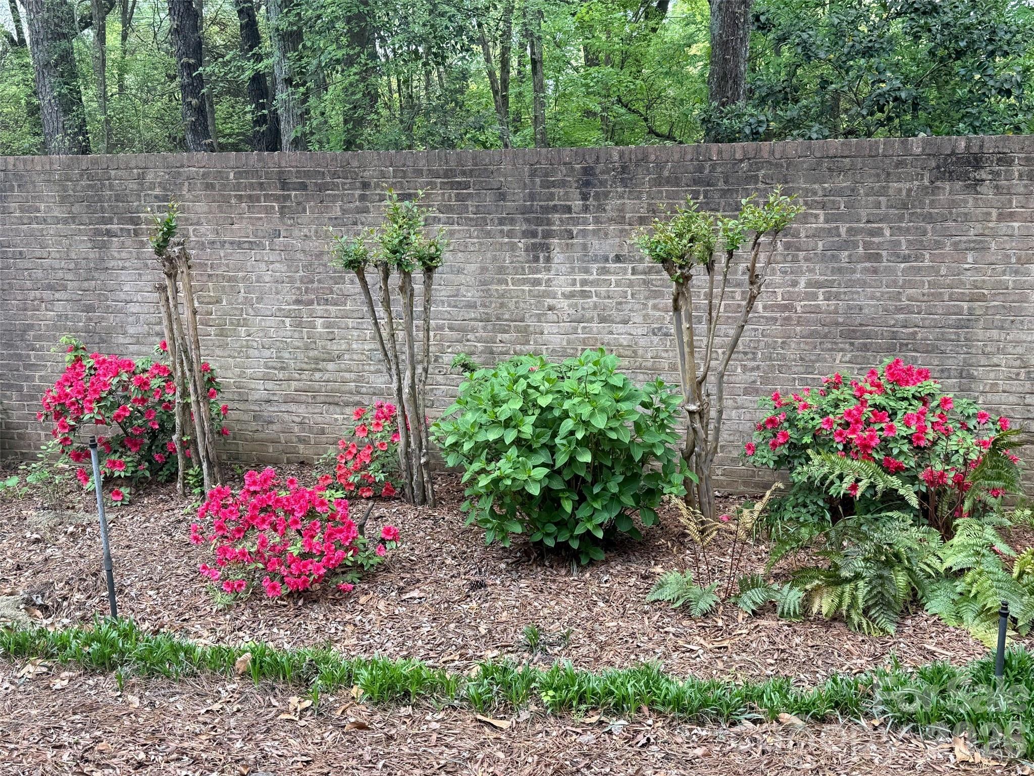 8952 Challis Hill Lane — Charlotte