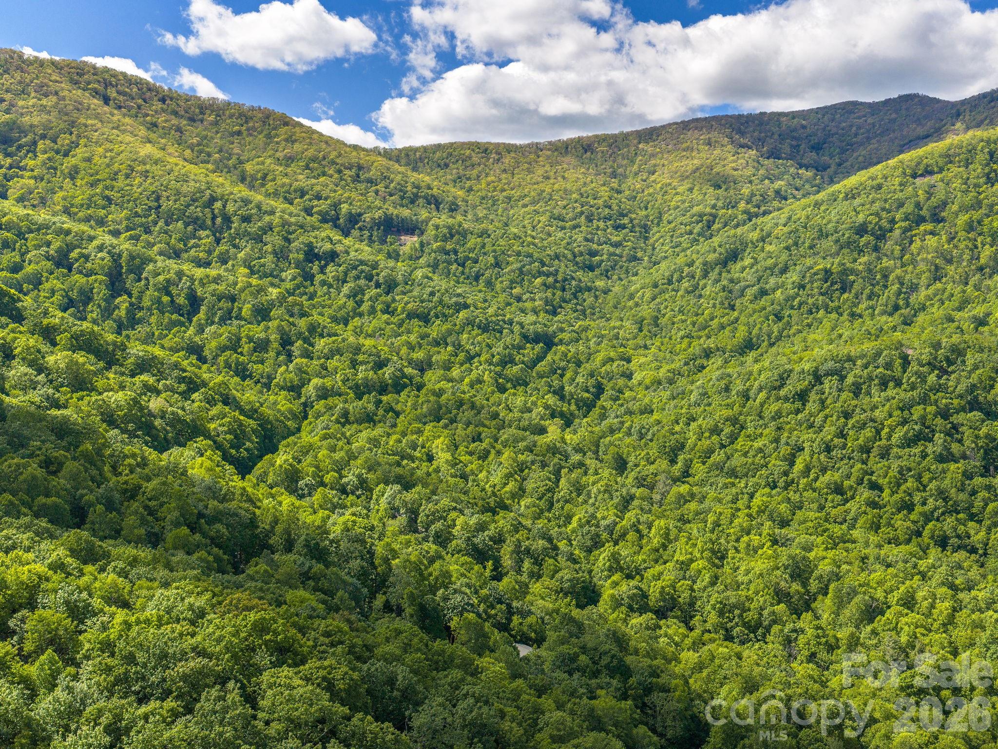 39 Great Aspen Way — Black Mountain