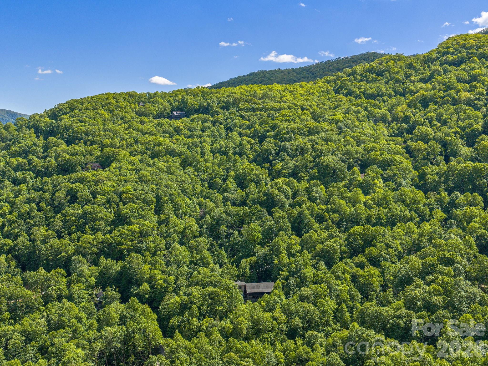39 Great Aspen Way — Black Mountain