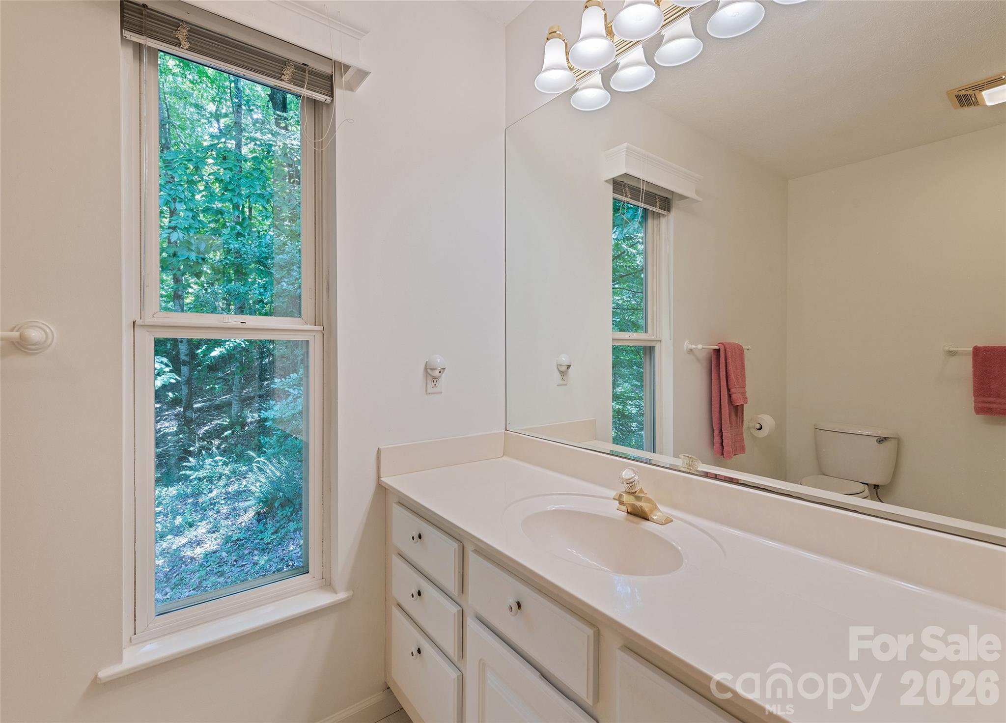 21 Winterview Trail — Hendersonville