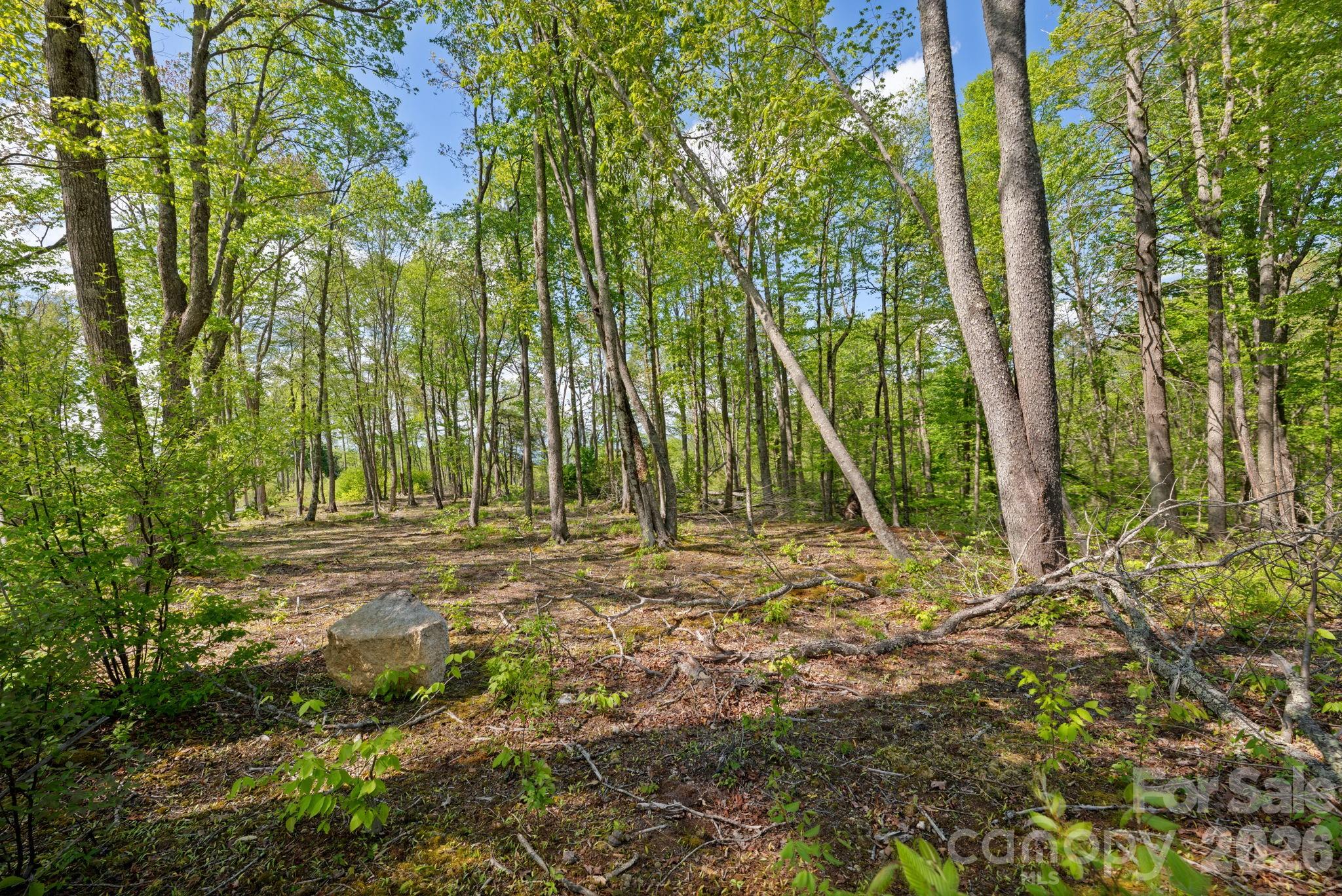 576 Eagle Springs Trail — Banner Elk