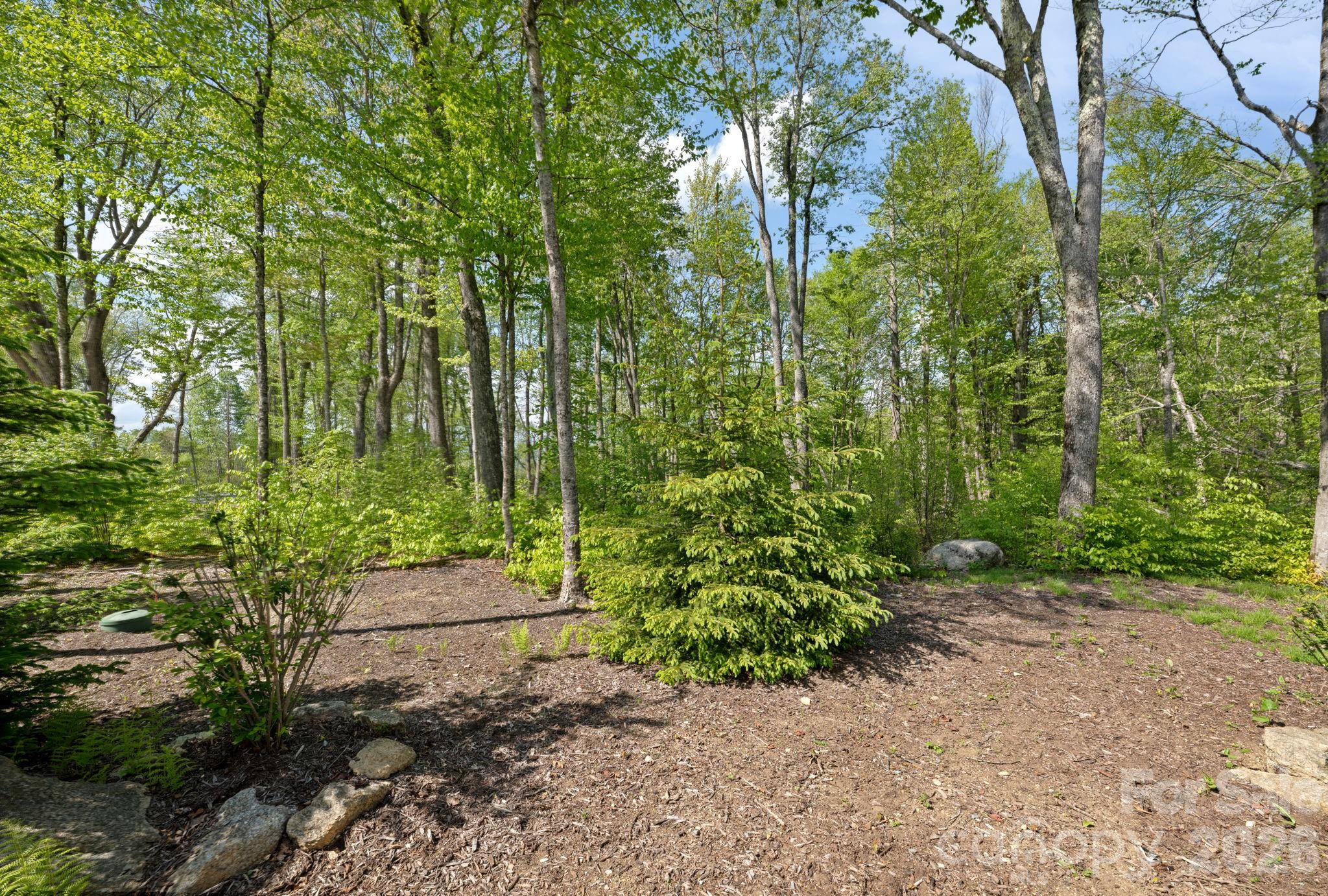 576 Eagle Springs Trail — Banner Elk