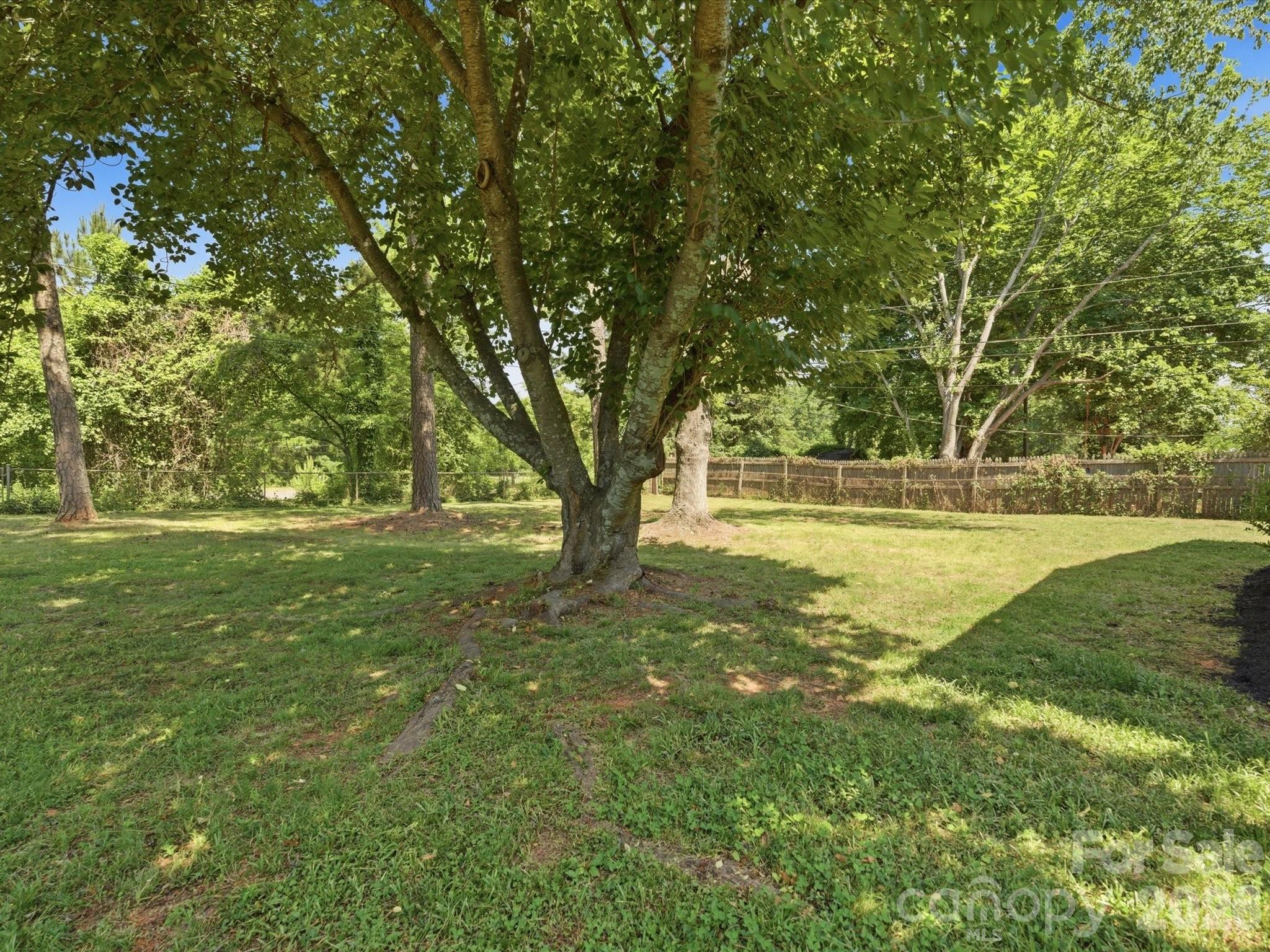 3633 Rosehaven Drive — Charlotte