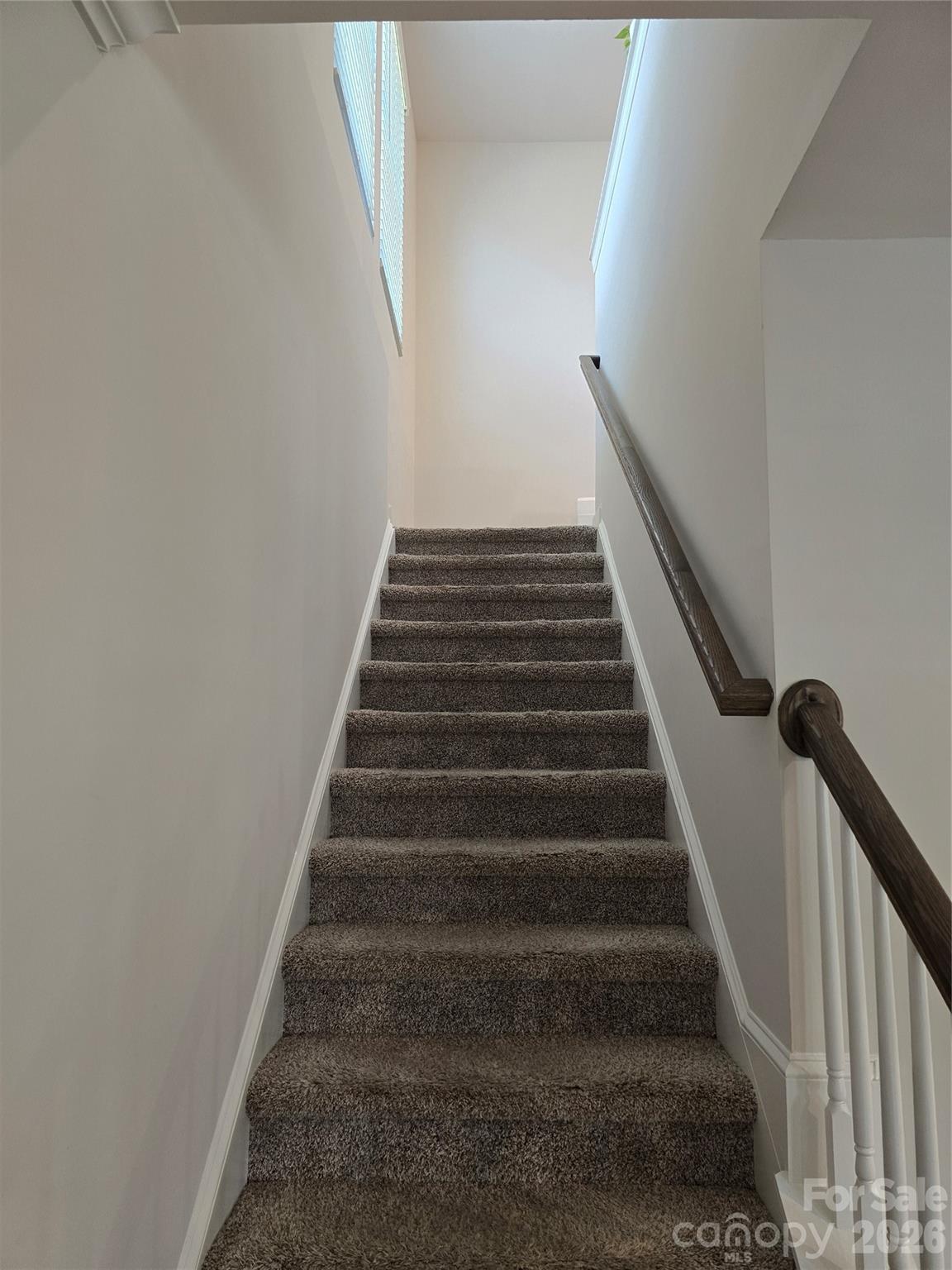 1221 Colgher Street — Charlotte