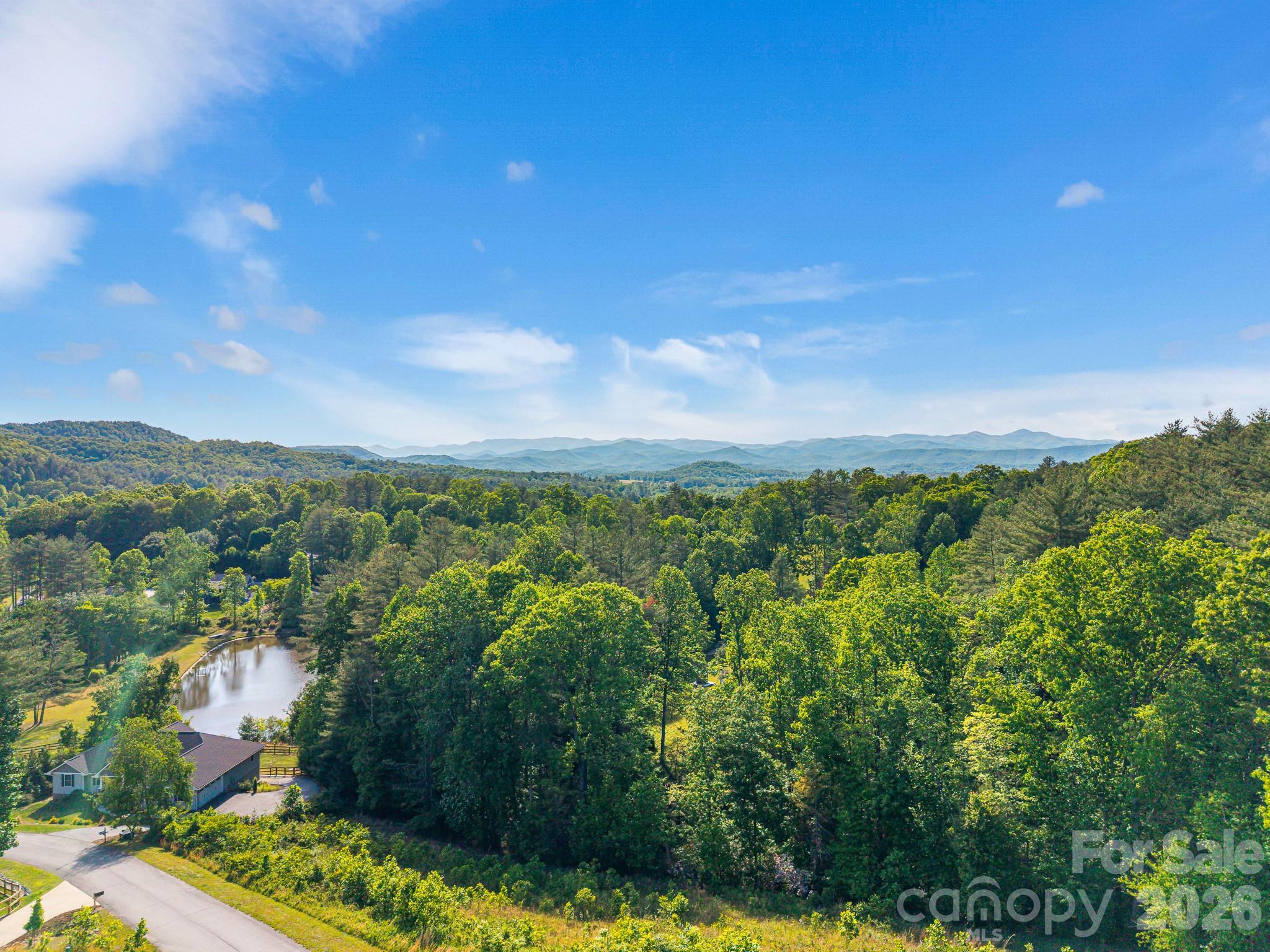 96 Crystal Lake Drive — Hendersonville