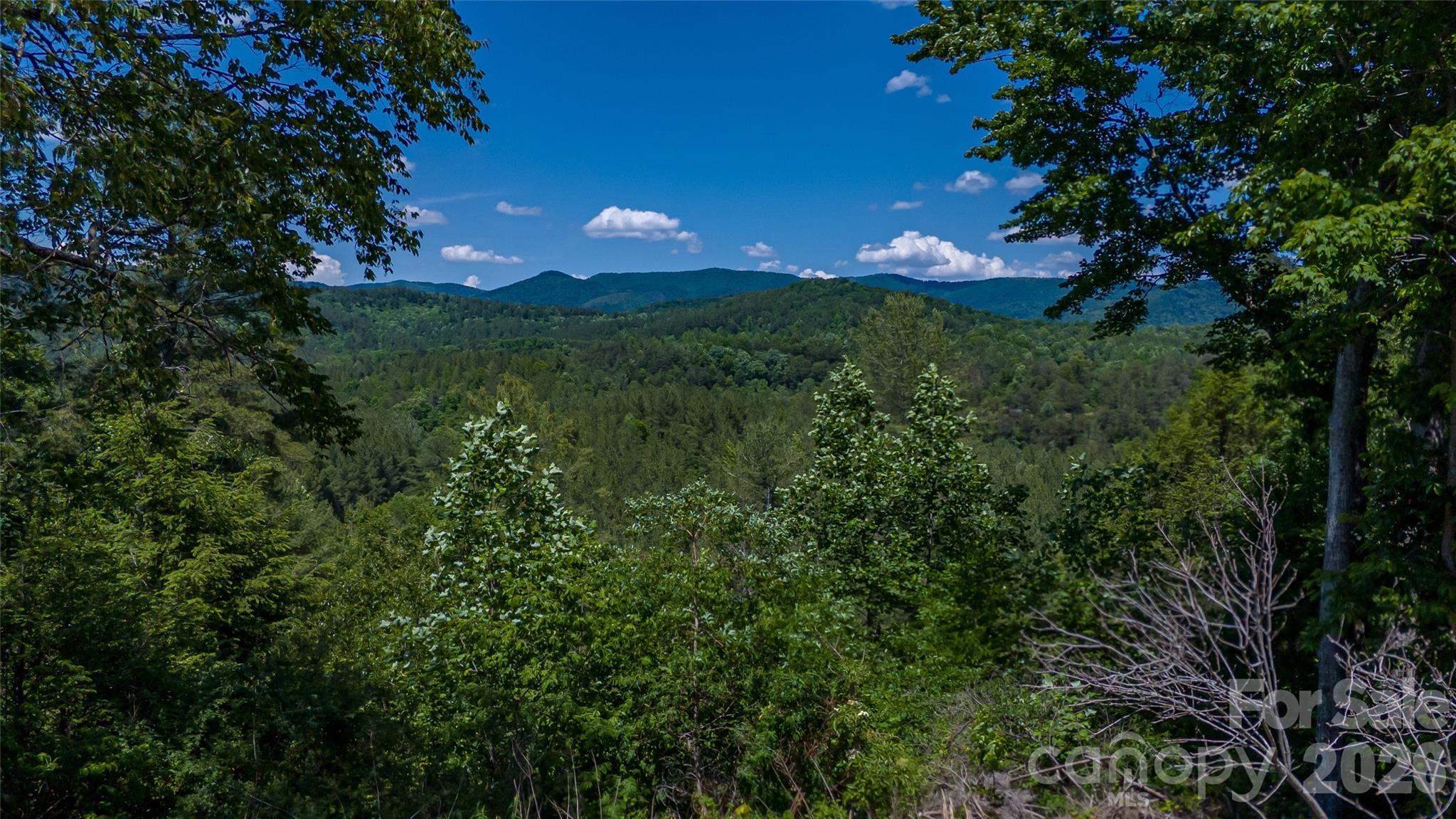 1542 Hwy 226 Highway — Casar