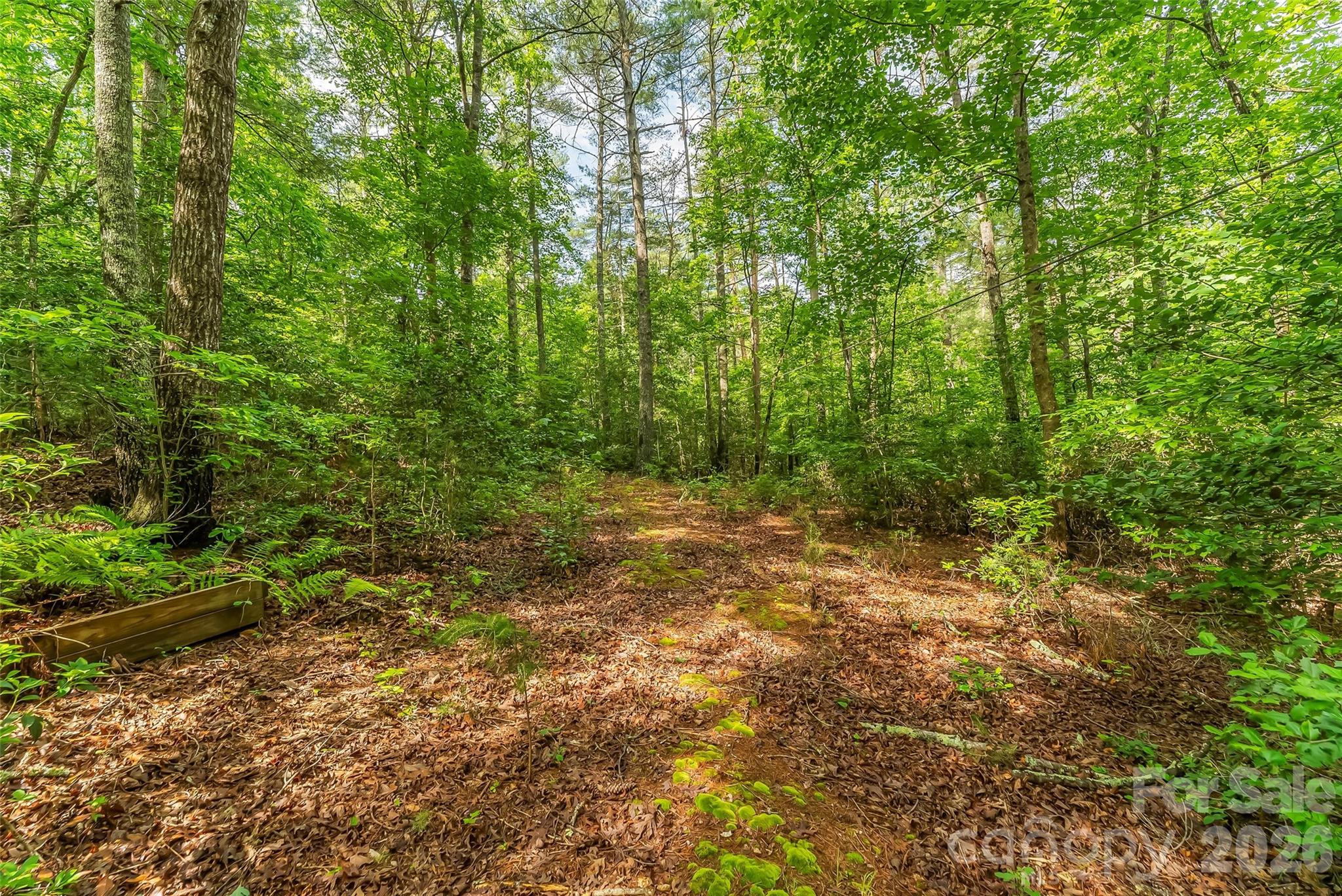 4082 Hwy 126 Highway — Morganton