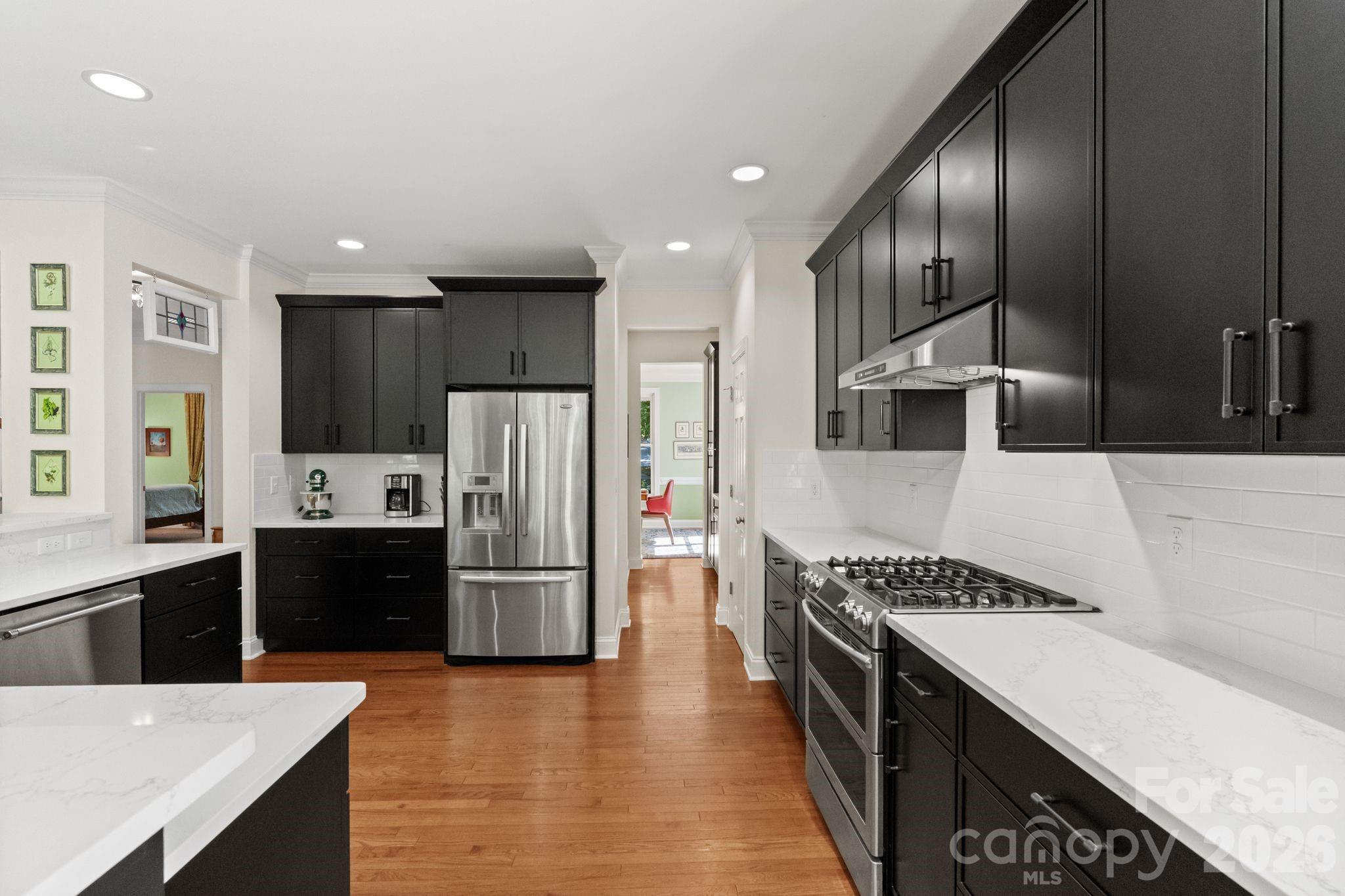 11 Blue Damsel Court — Biltmore Lake