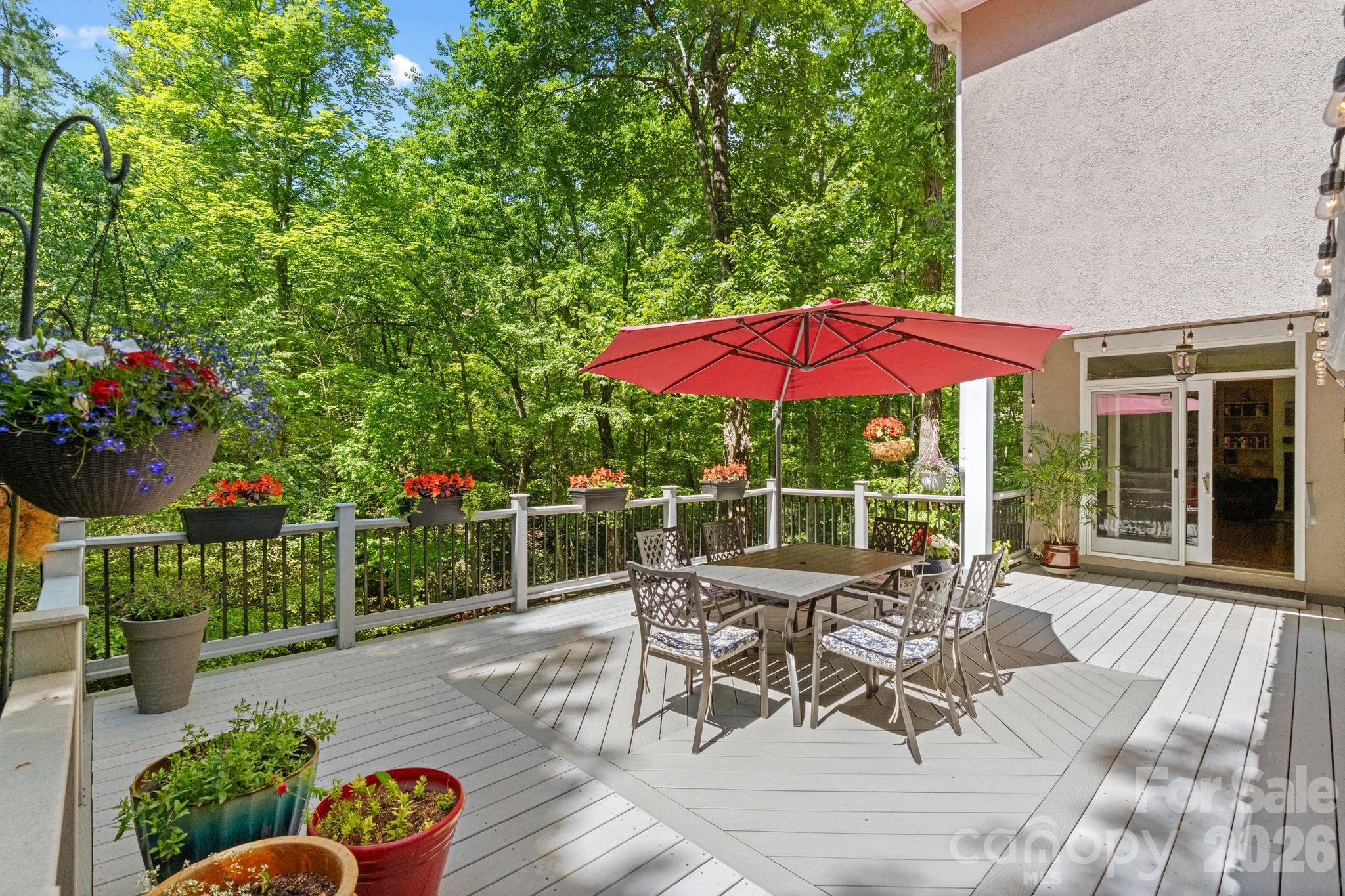 11 Blue Damsel Court — Biltmore Lake