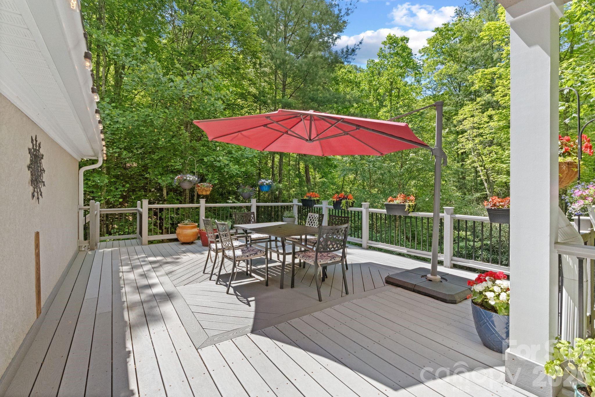 11 Blue Damsel Court — Biltmore Lake