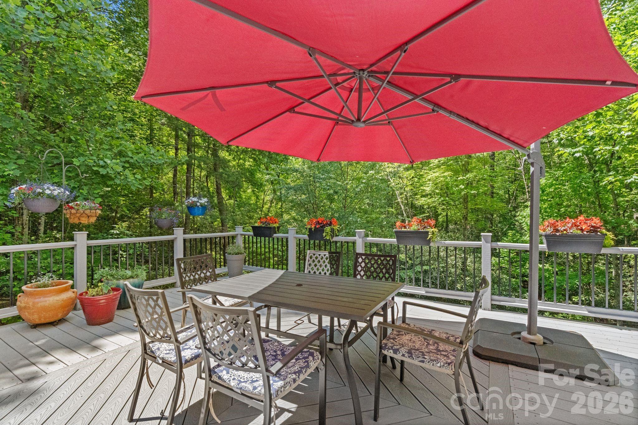 11 Blue Damsel Court — Biltmore Lake