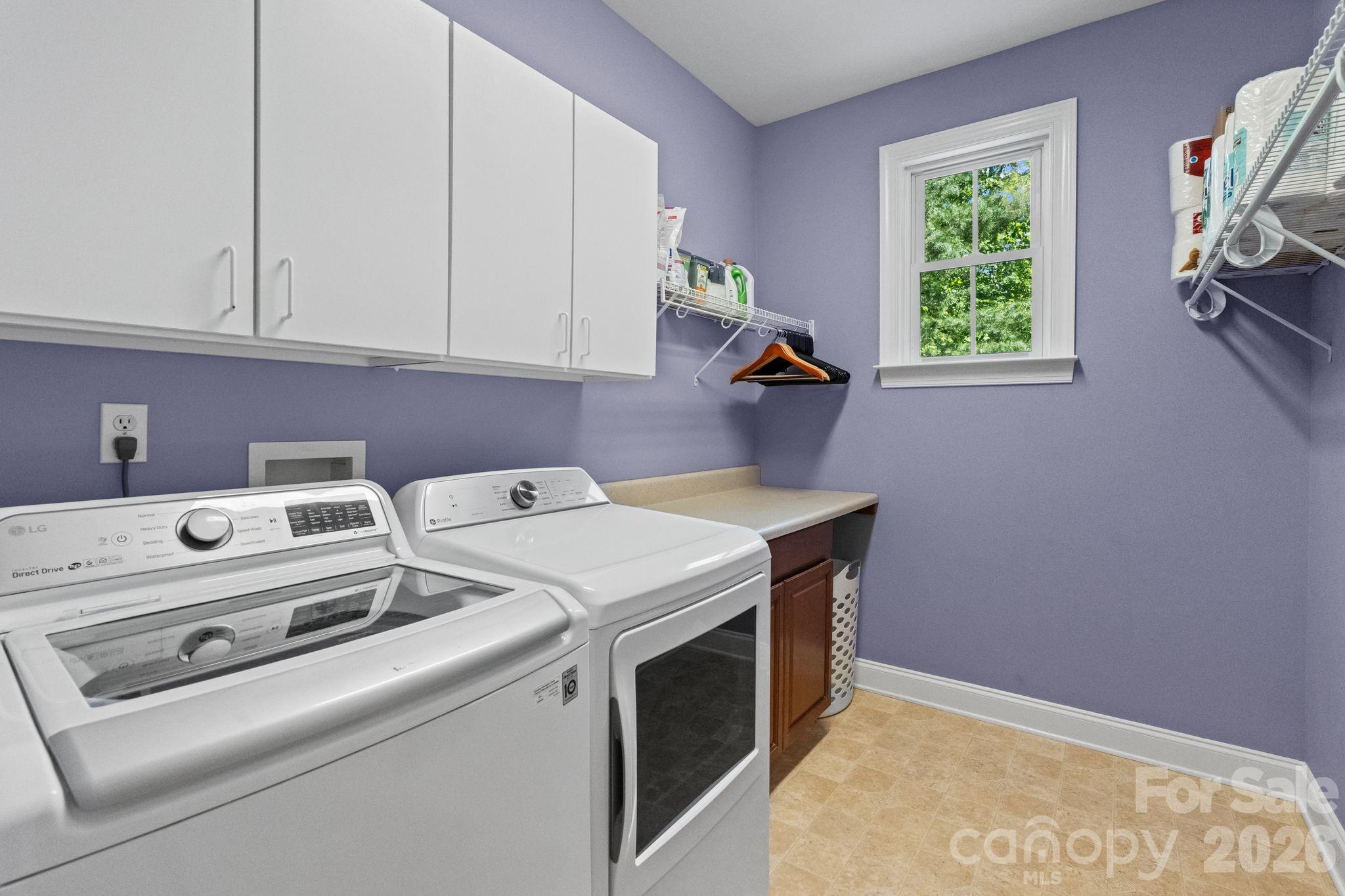 11 Blue Damsel Court — Biltmore Lake
