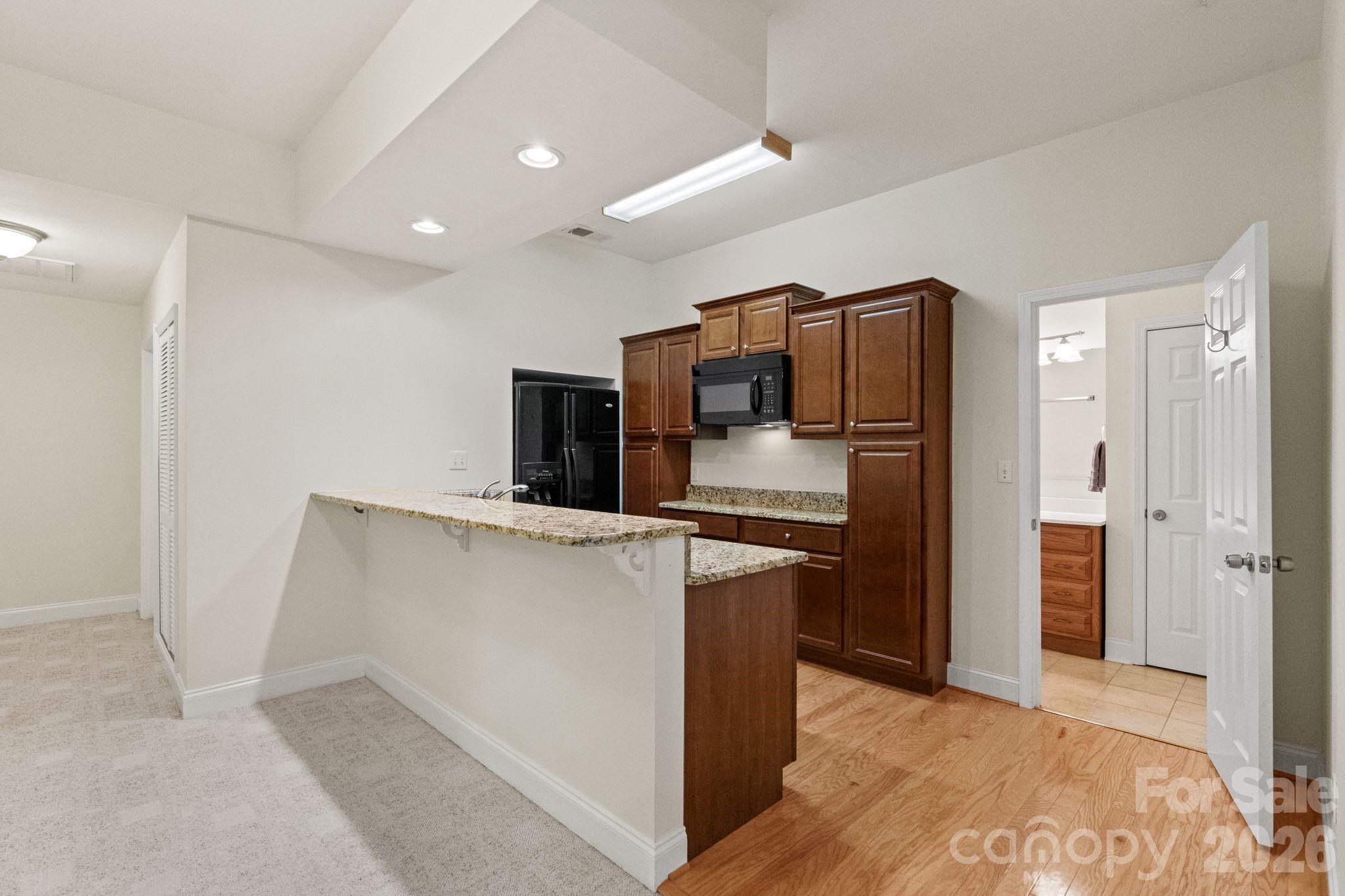 11 Blue Damsel Court — Biltmore Lake