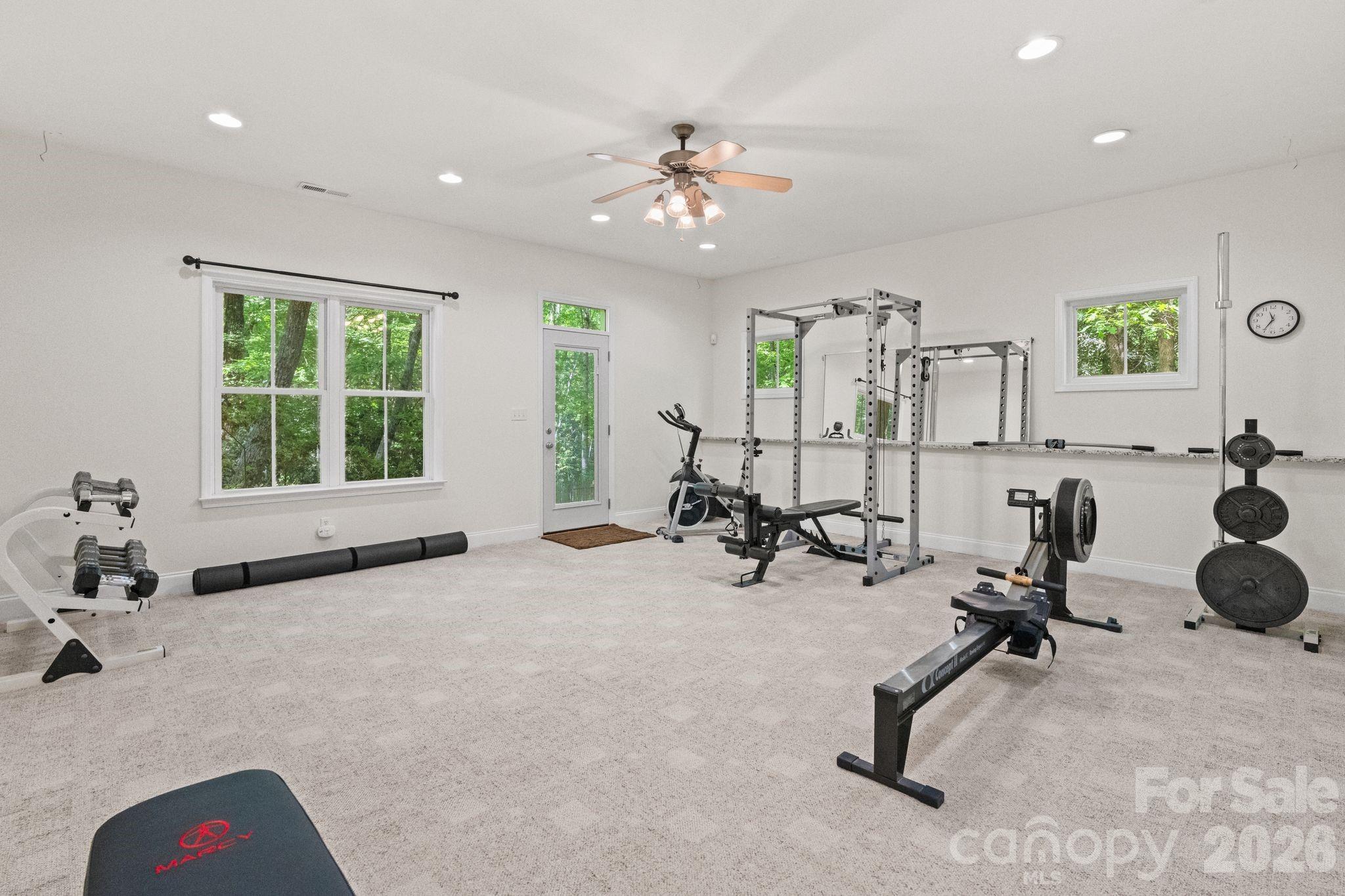 11 Blue Damsel Court — Biltmore Lake