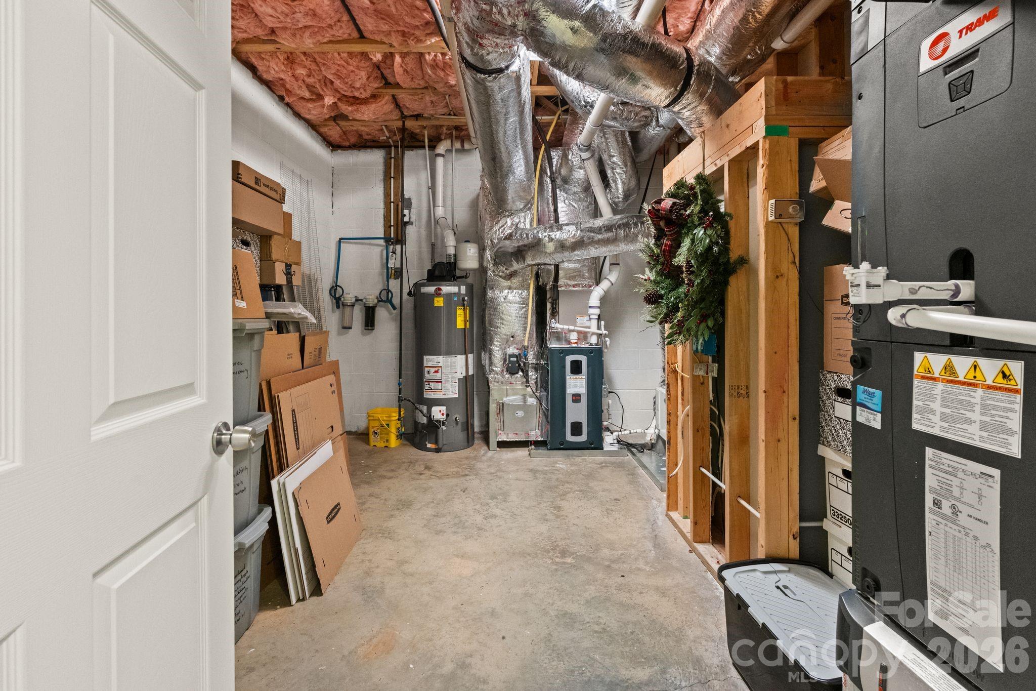 11 Blue Damsel Court — Biltmore Lake