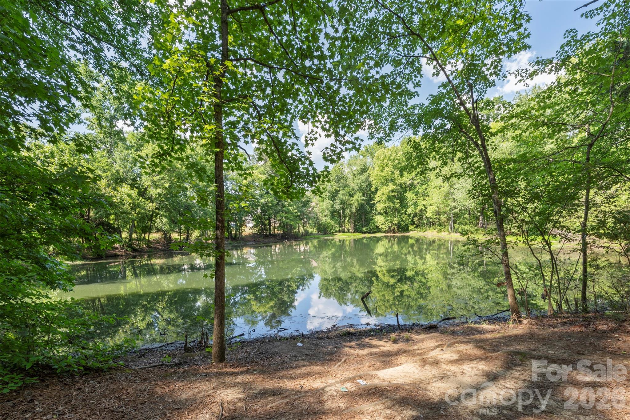 540 Rough Hewn Lane — Rock Hill