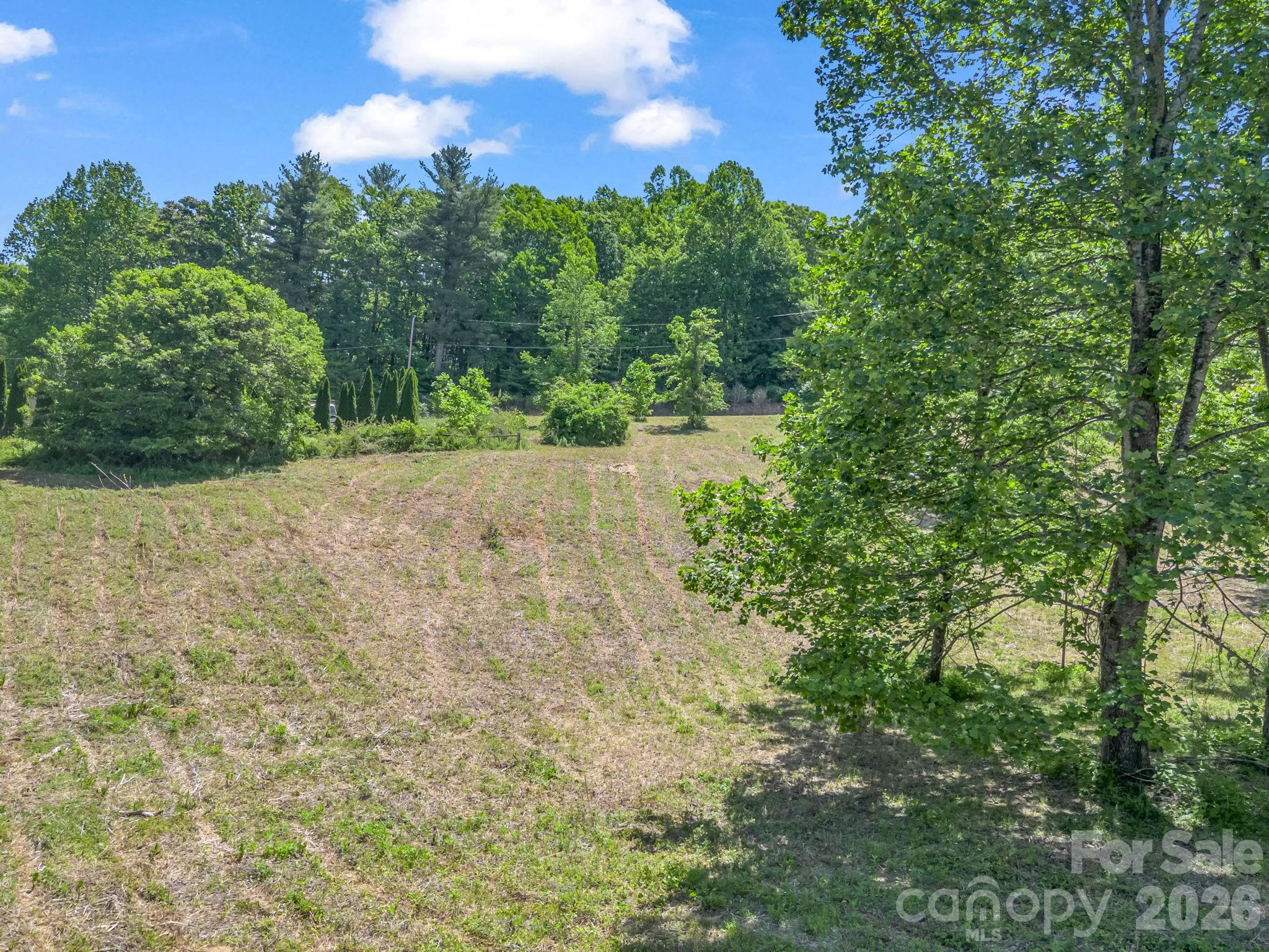 255 & 257 Crescent Street — Saluda