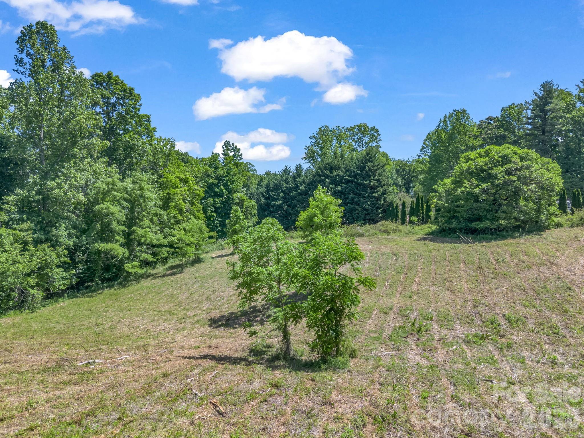 255 & 257 Crescent Street — Saluda