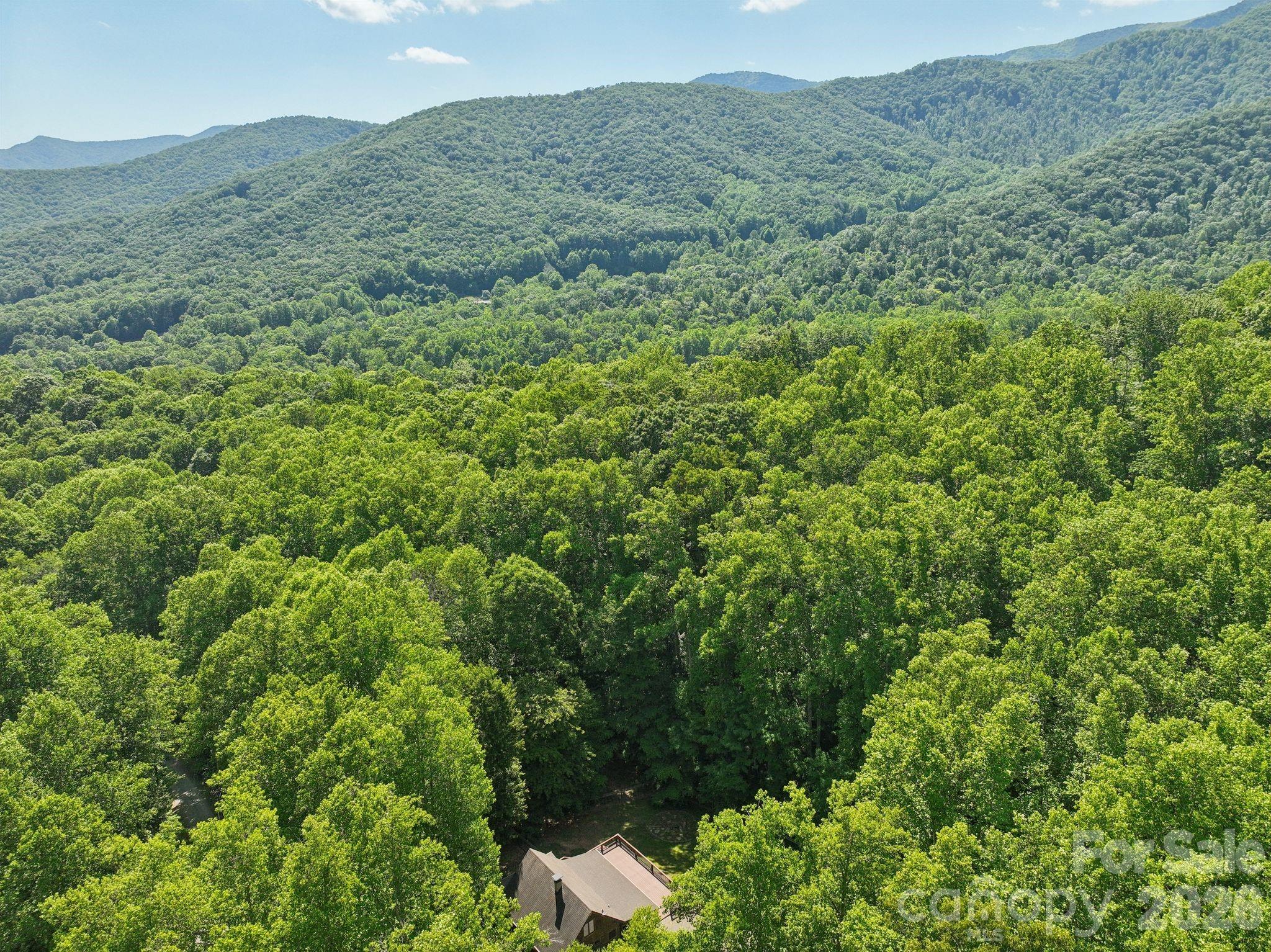 89 Apgar Road — Candler