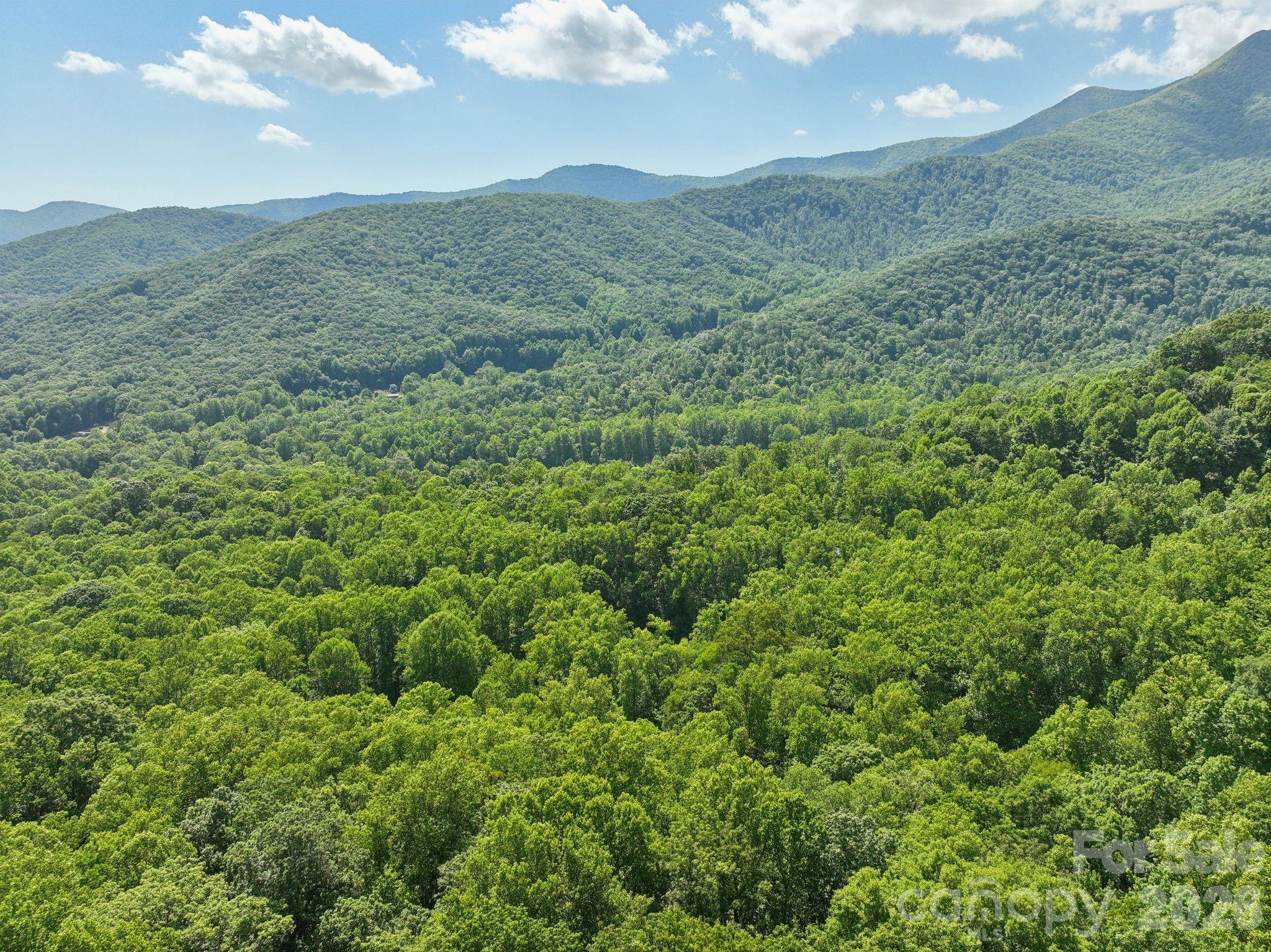 89 Apgar Road — Candler