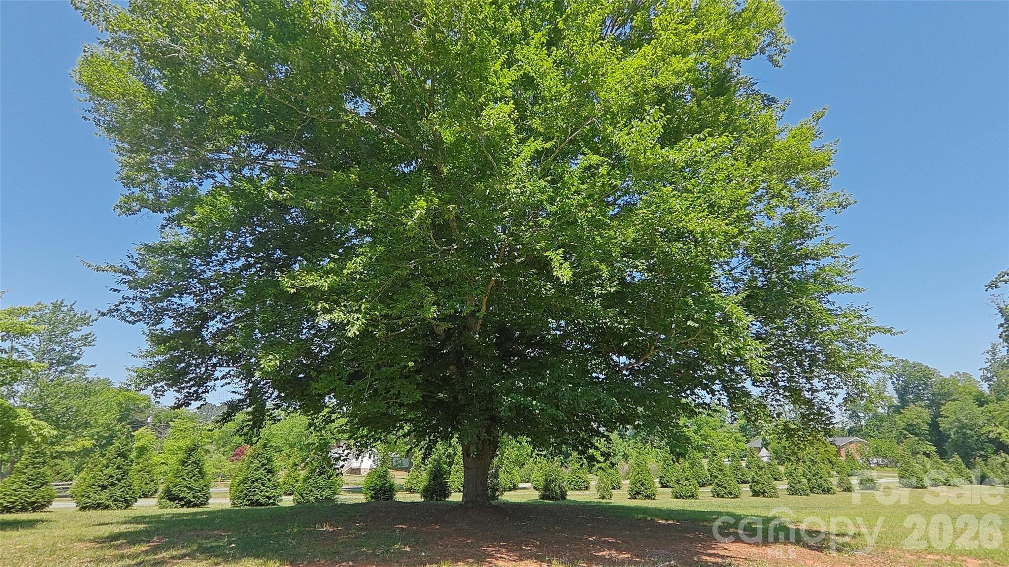8710 Stokes Ferry Road — Salisbury