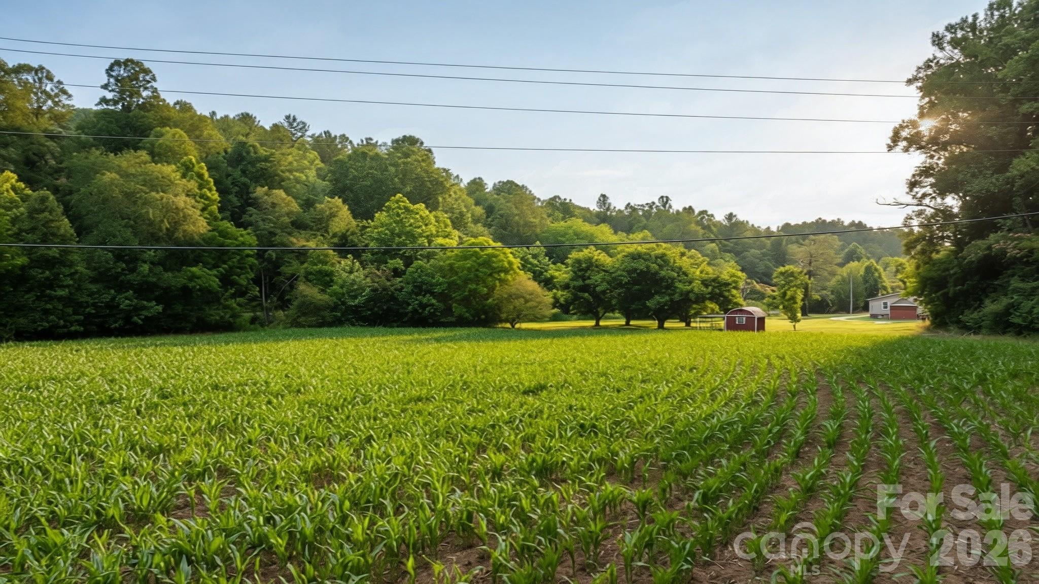 2970 Zacks Fork Road — Lenoir