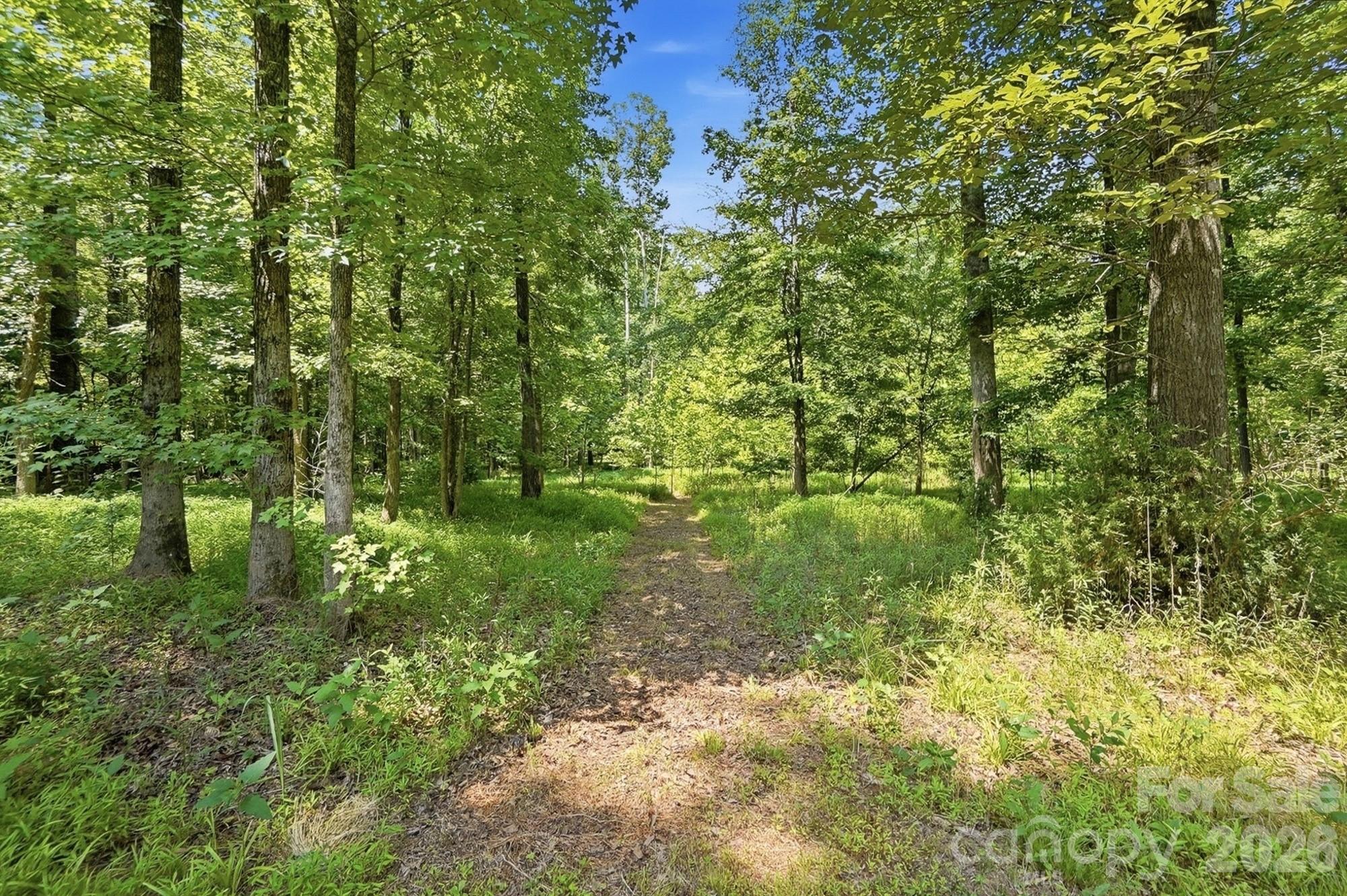 9151 Vagabond Road — Charlotte