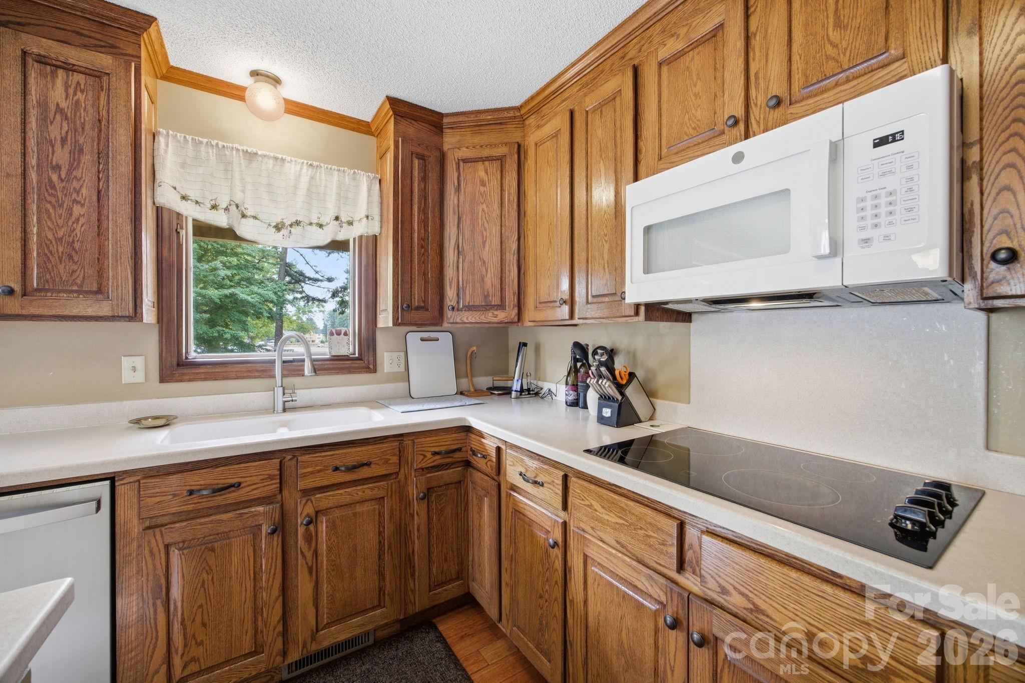 220 Shoreline Loop — Mooresville