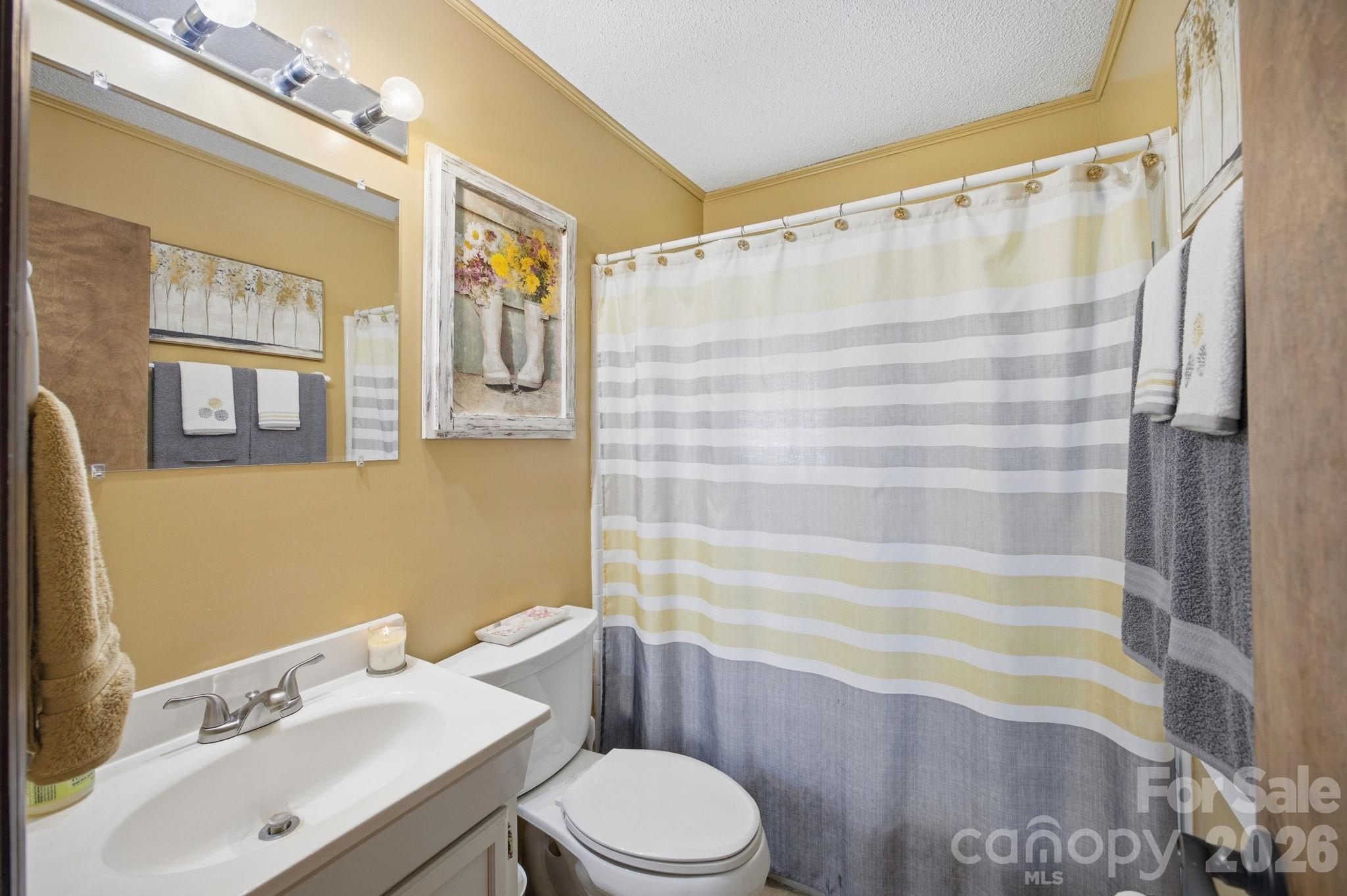 220 Shoreline Loop — Mooresville