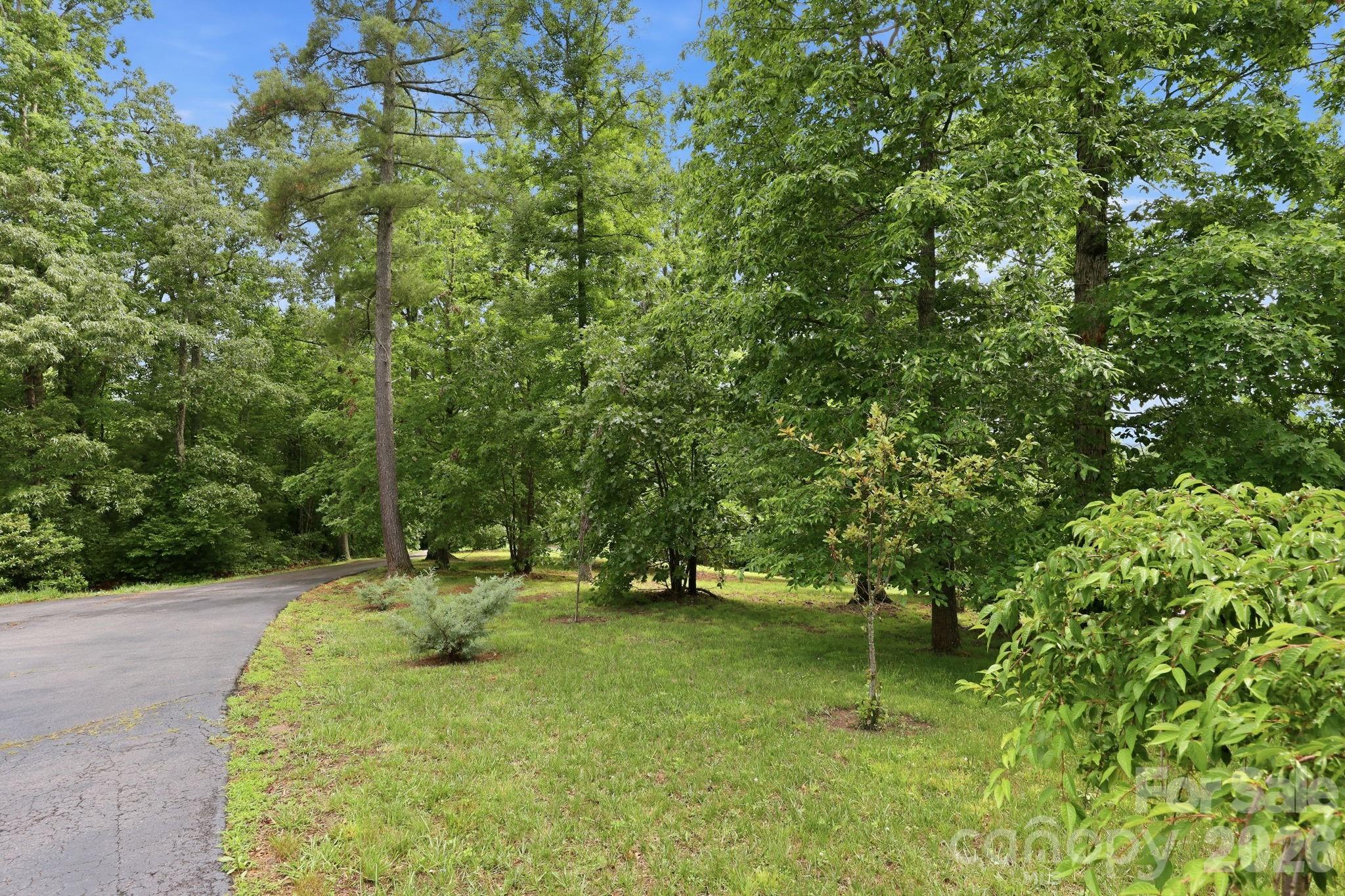65 Buckle Ridge — Weaverville