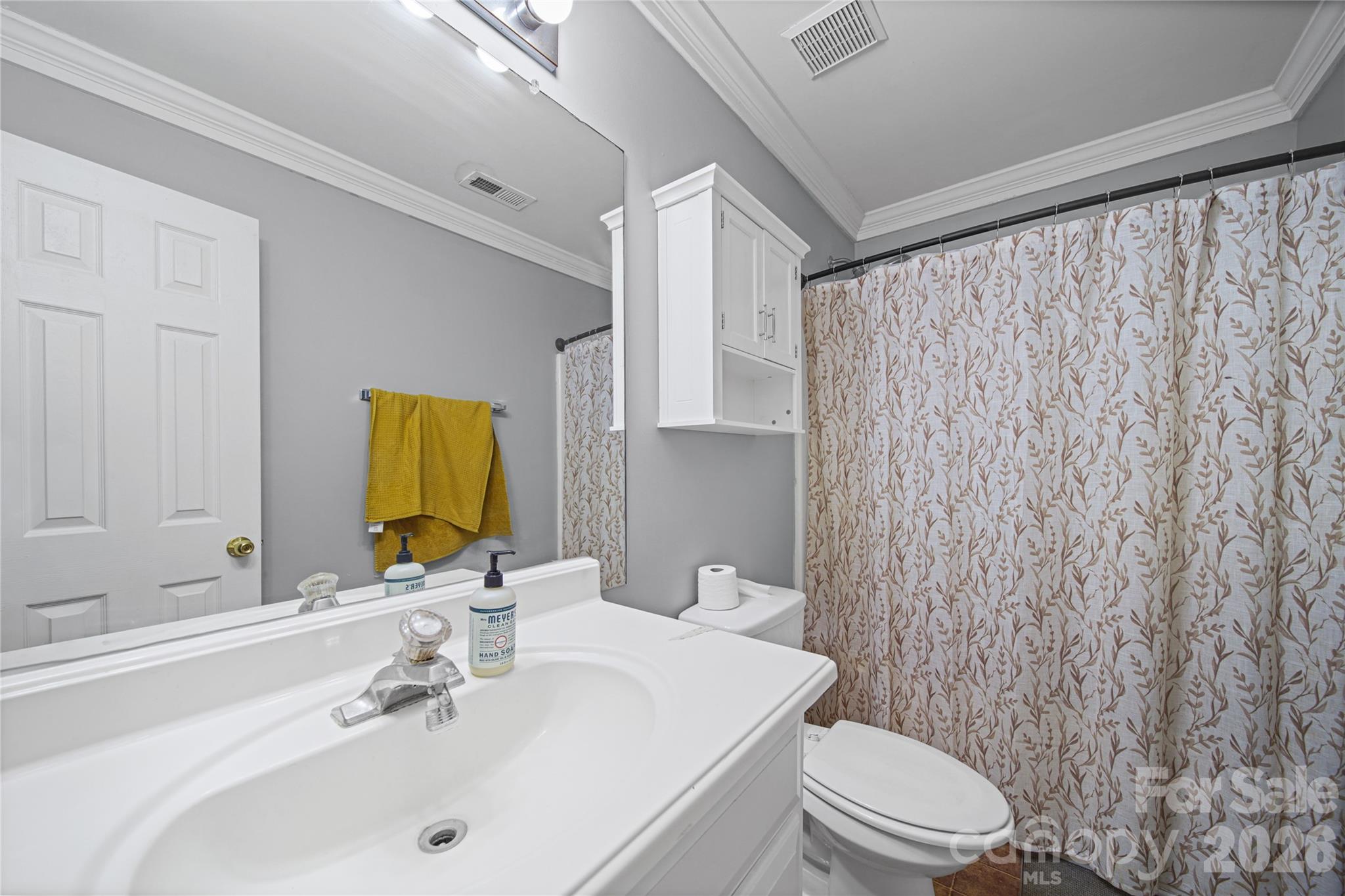1309 Winding Branch Court — Charlotte
