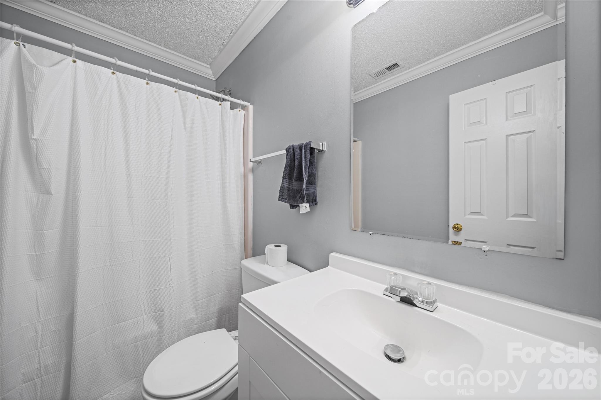 1309 Winding Branch Court — Charlotte