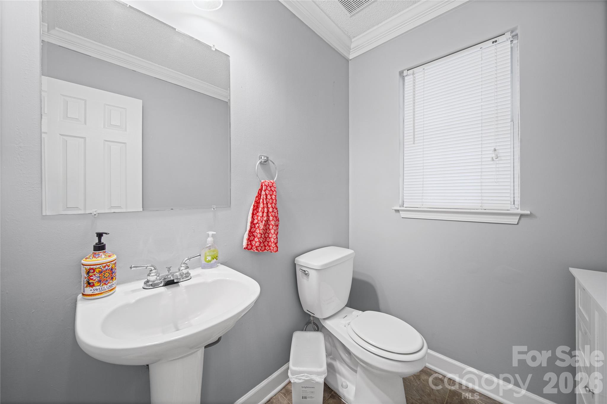 1309 Winding Branch Court — Charlotte